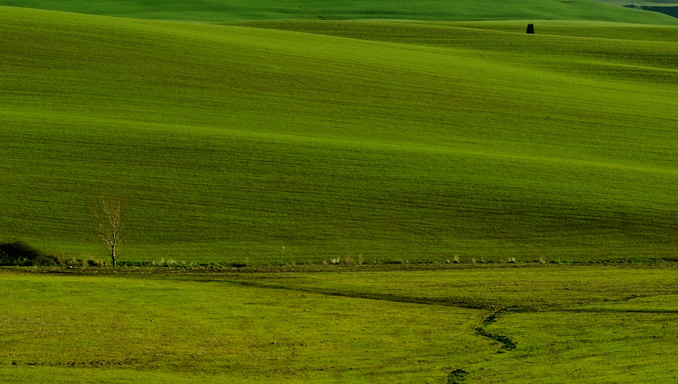 Landscape in val d'Orcia