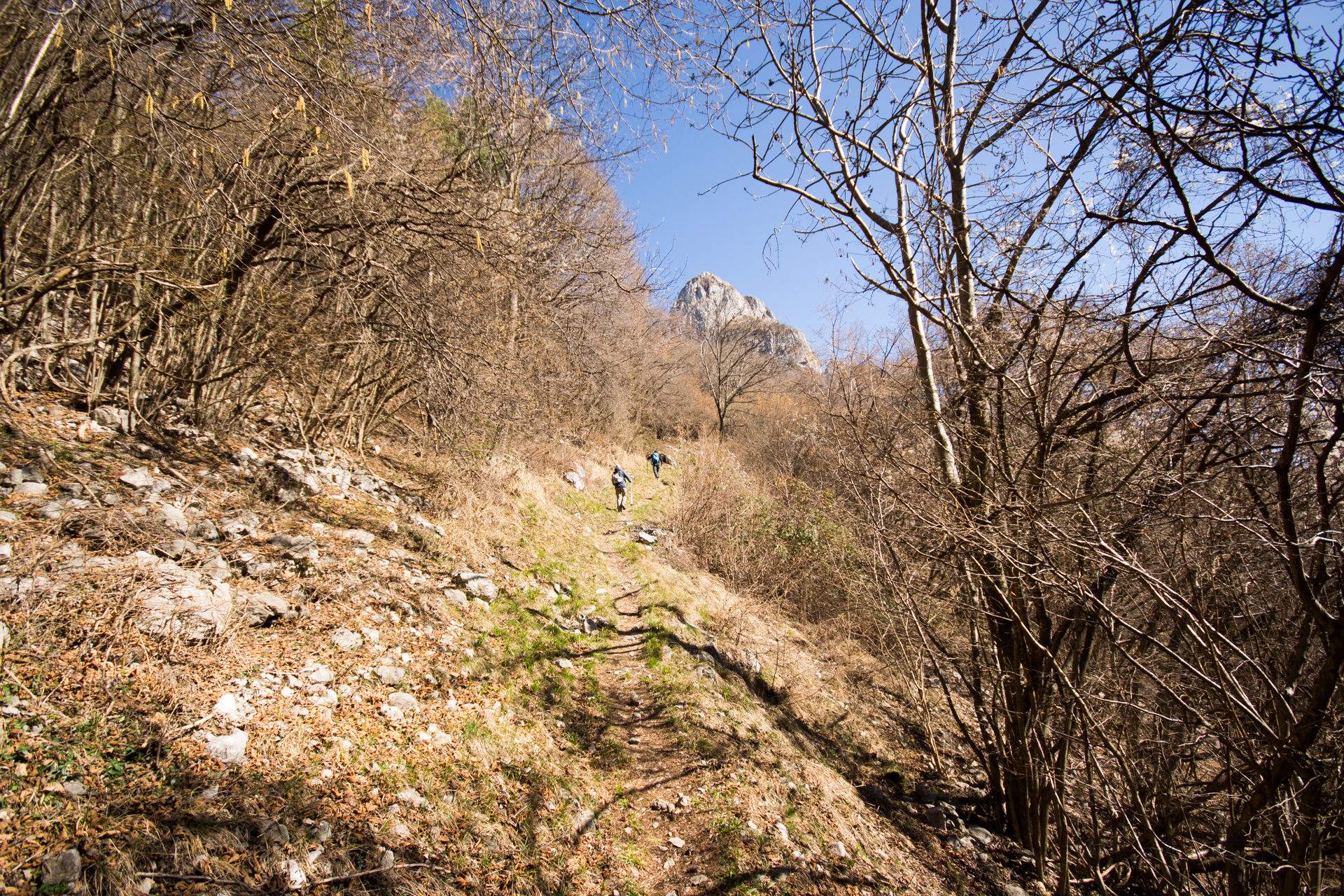 Strada per i Corni di Canzo