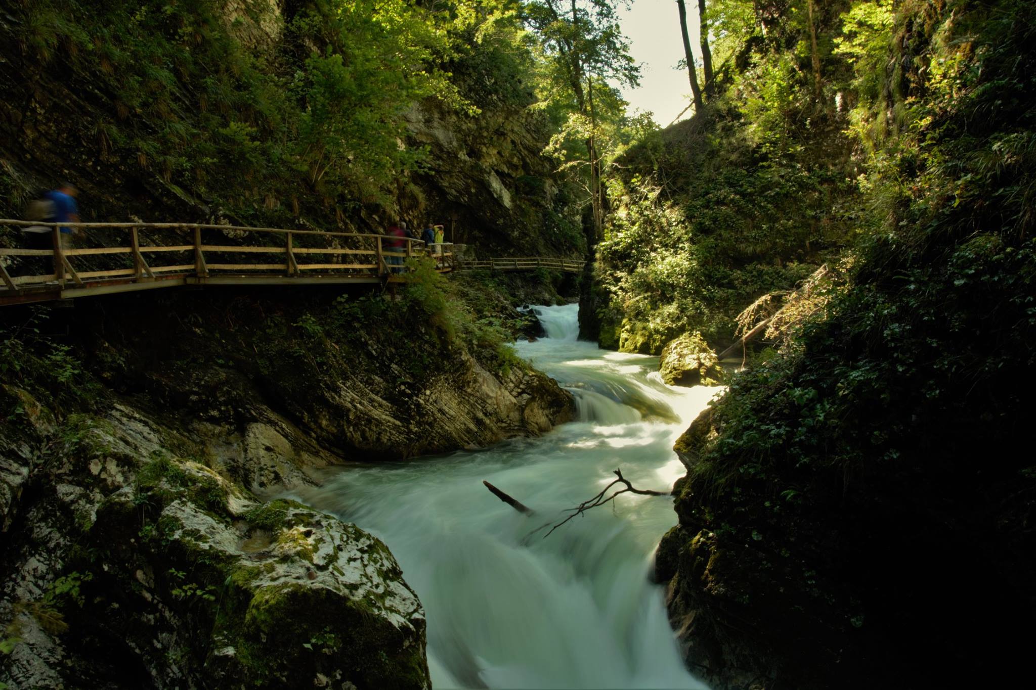 The gorge of Vintgar - Bled