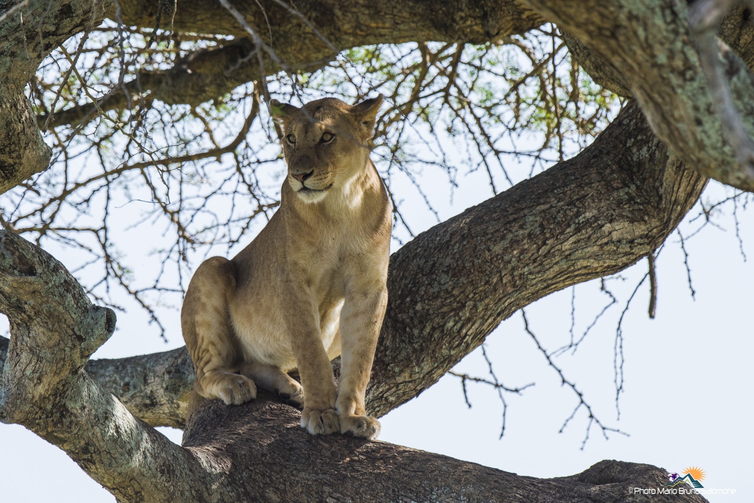 Looking a little bit of shadow