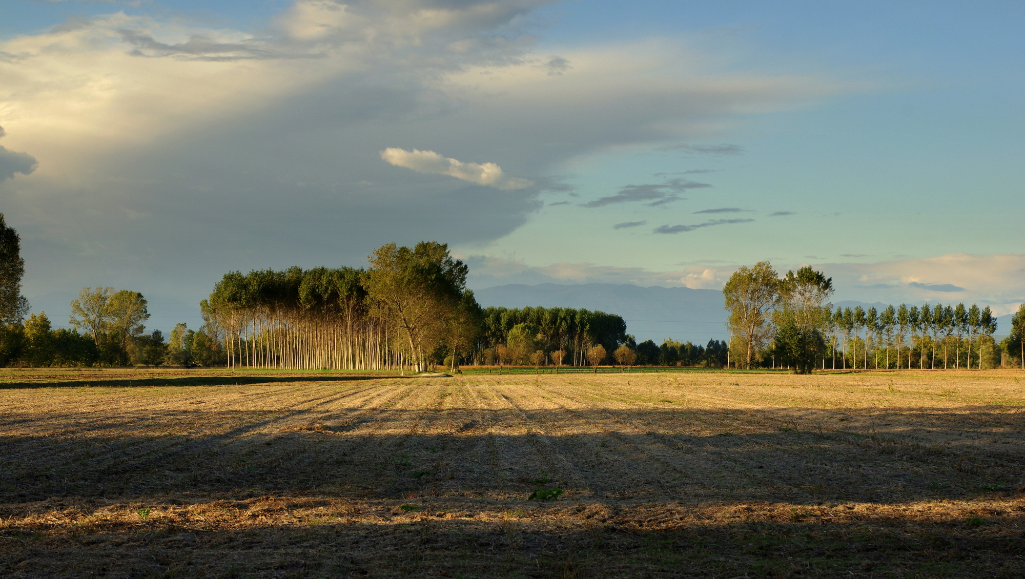 long shadows on to the sunset