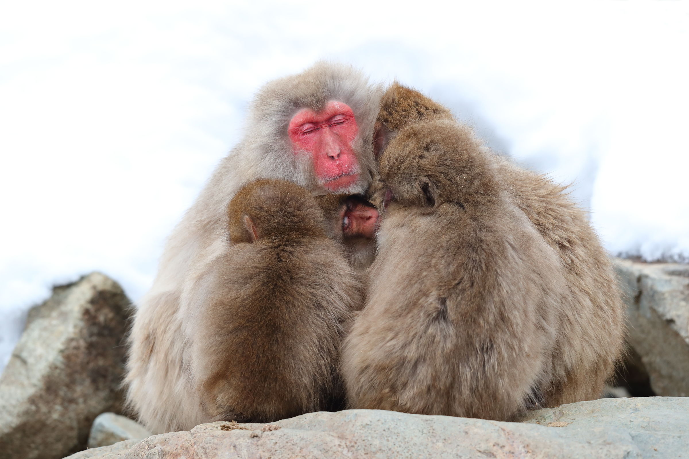 Tepore familiare....