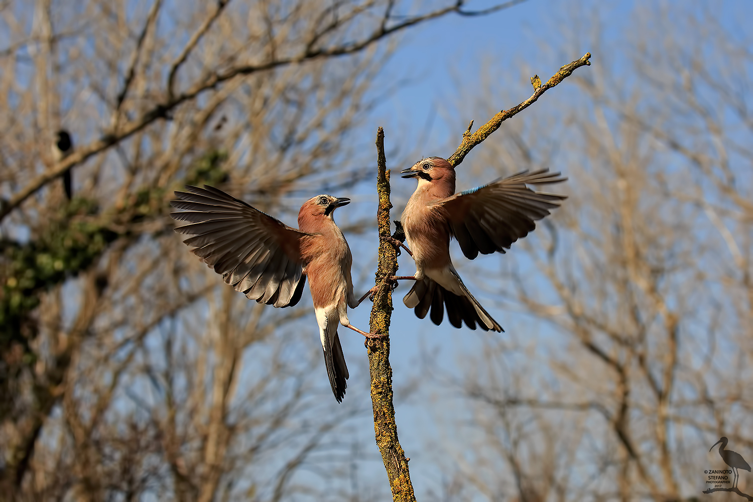 Discussioni in famiglia