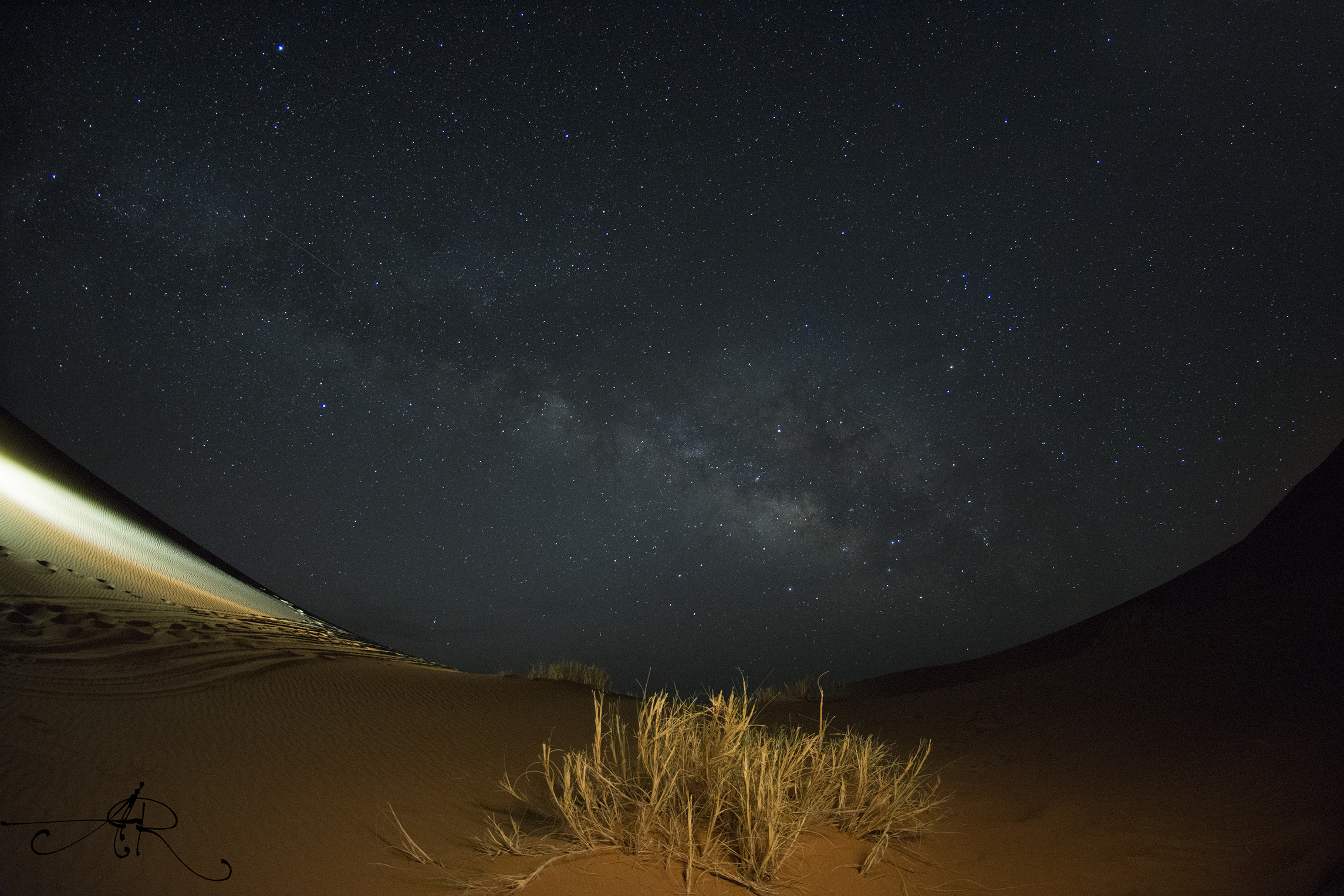 Look at the stars..Look how they shine for you