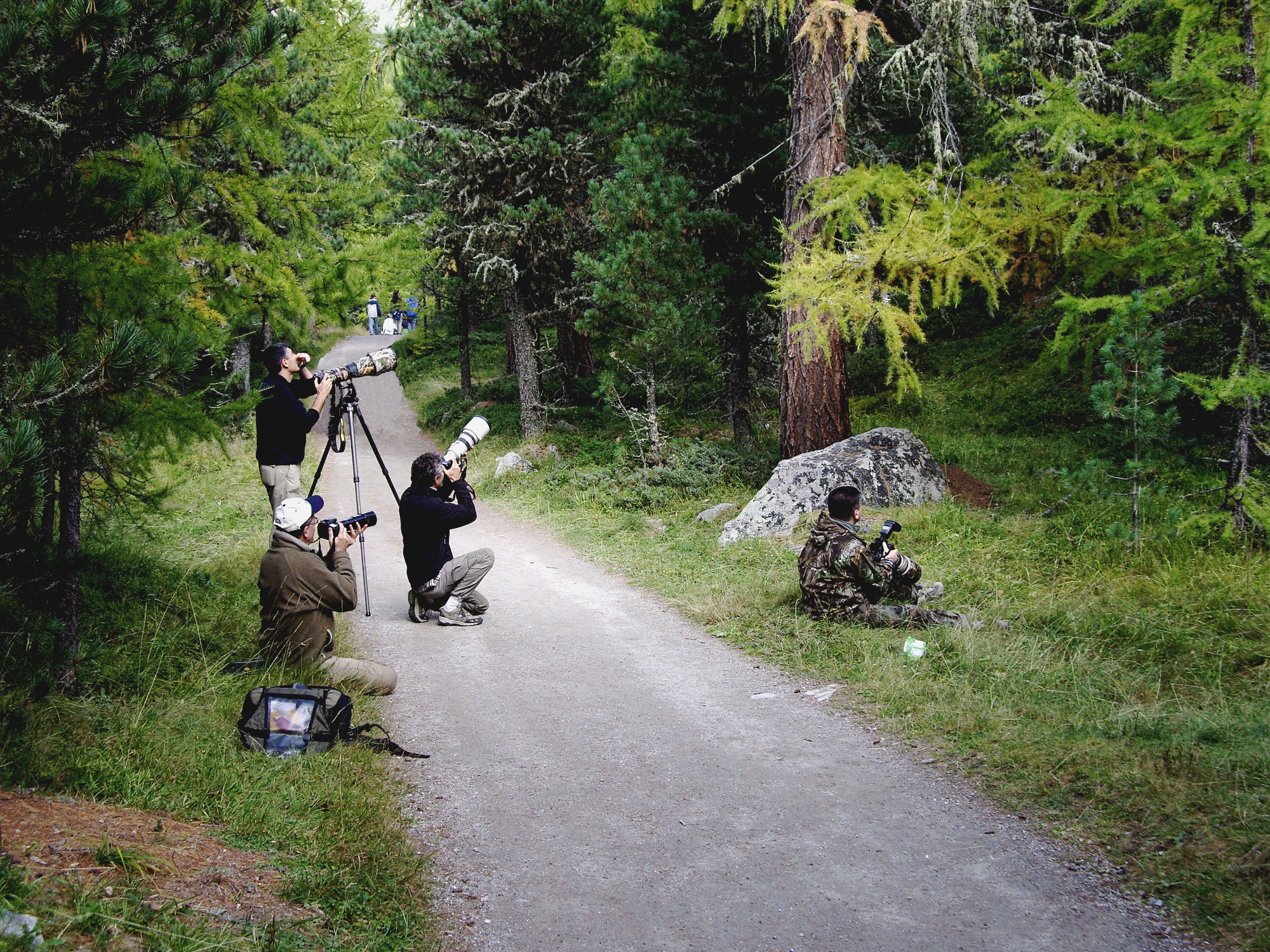 val roseg engadina: aspettando le cince