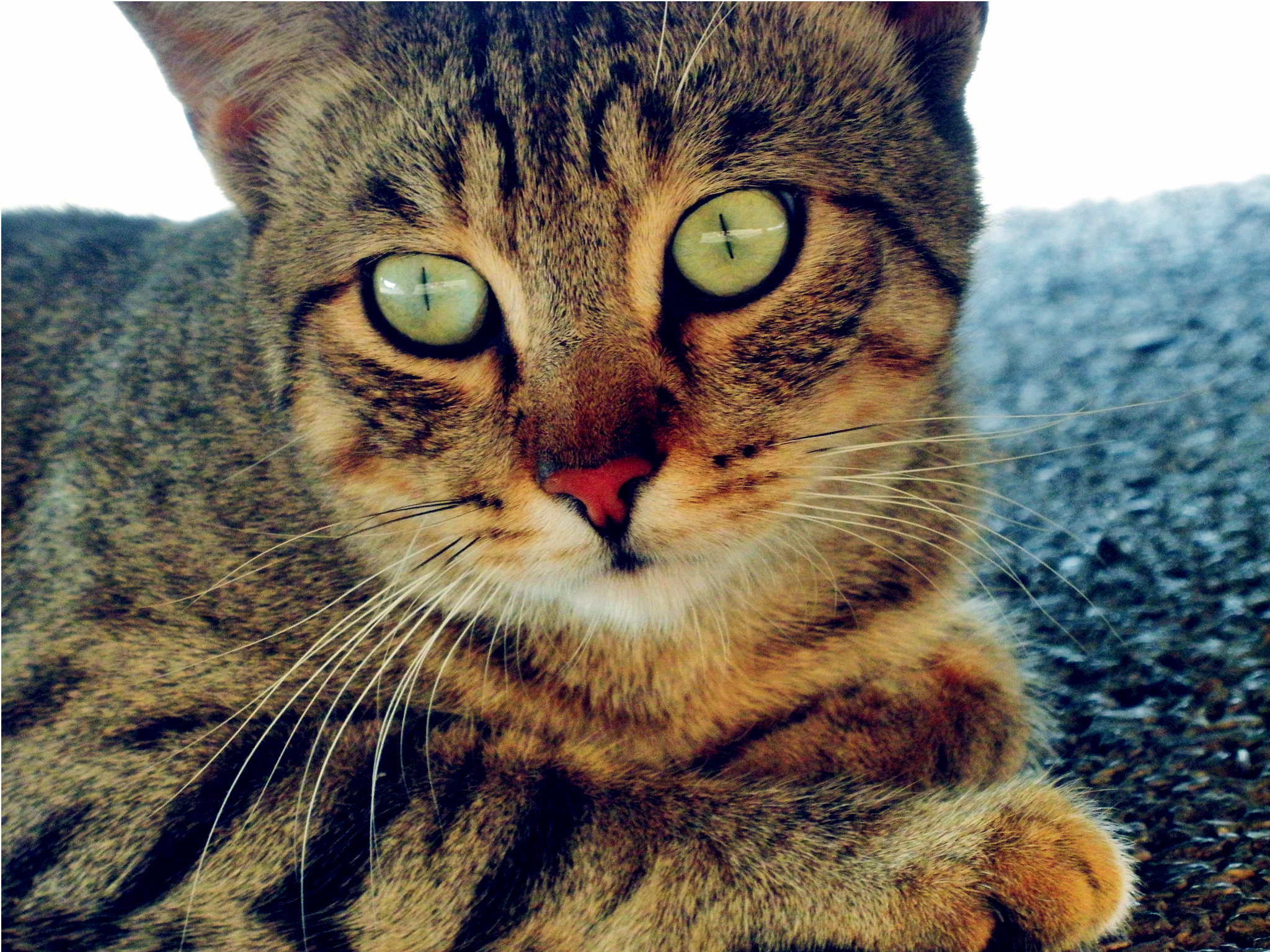 Are you looking at me?