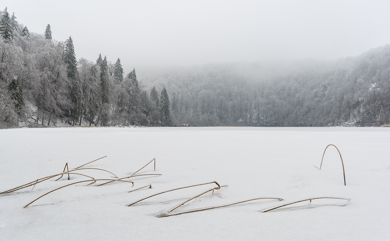 the natural signature