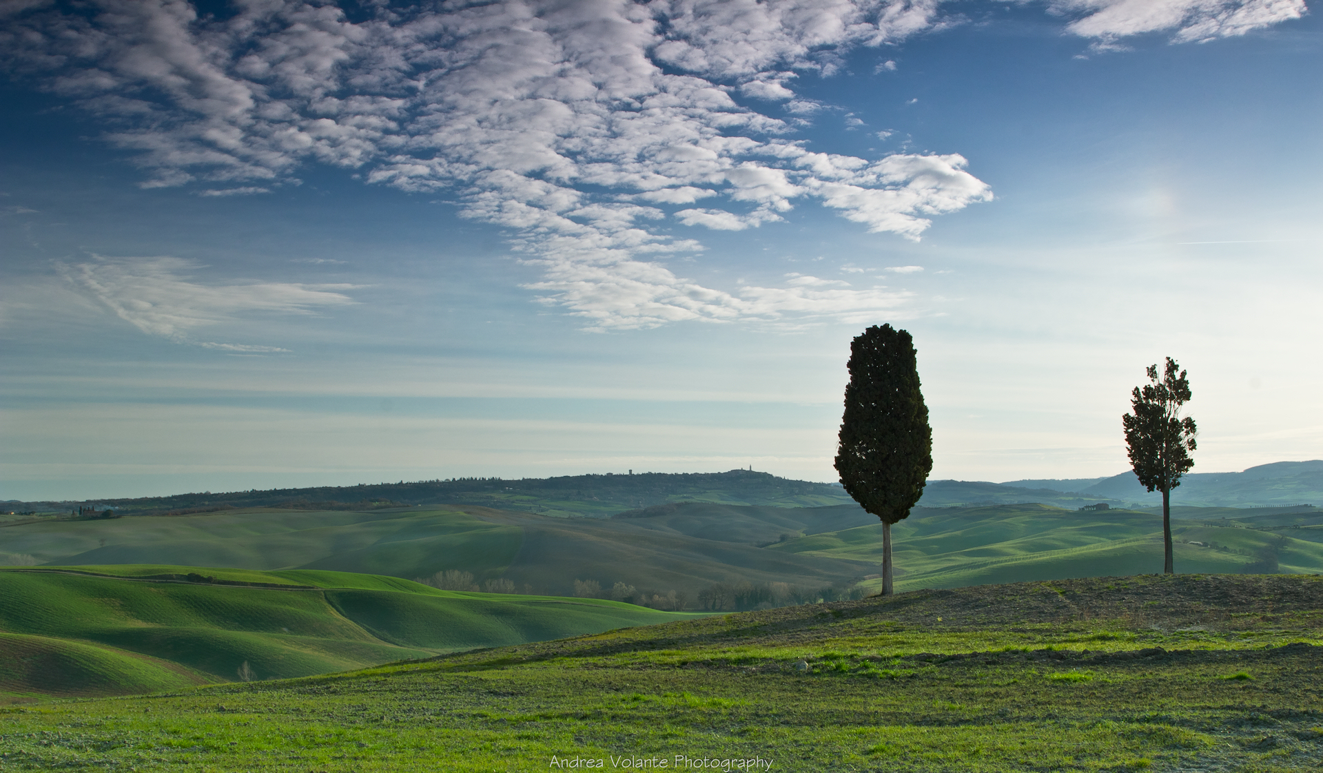 ..un racconto di cipressi in terra d'Orcia.