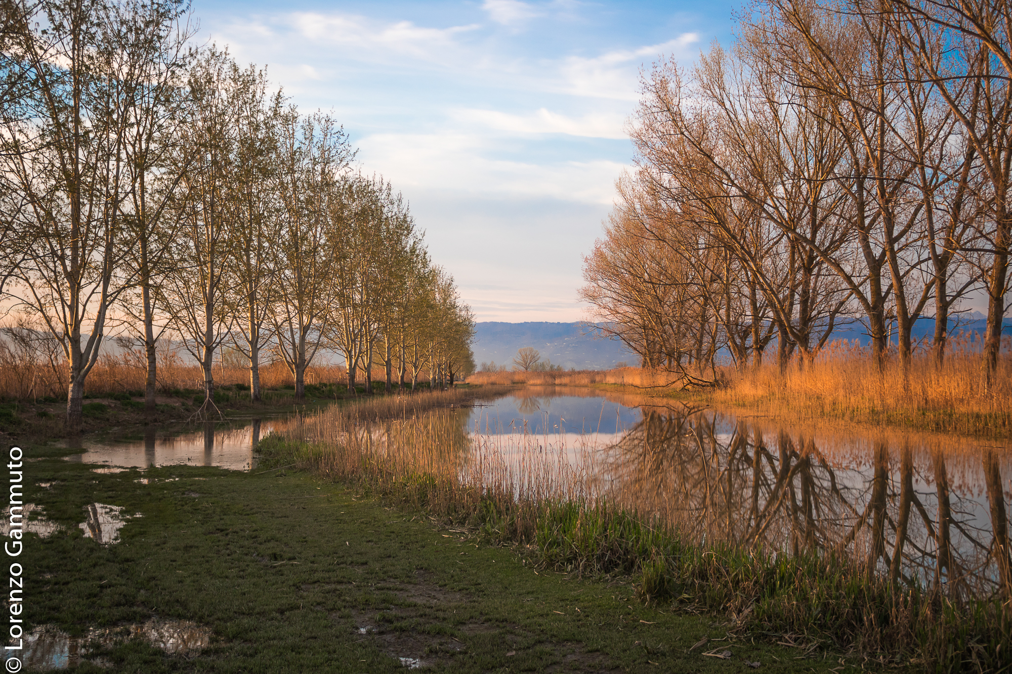 Passeggiata nel Padule di Fucecchio