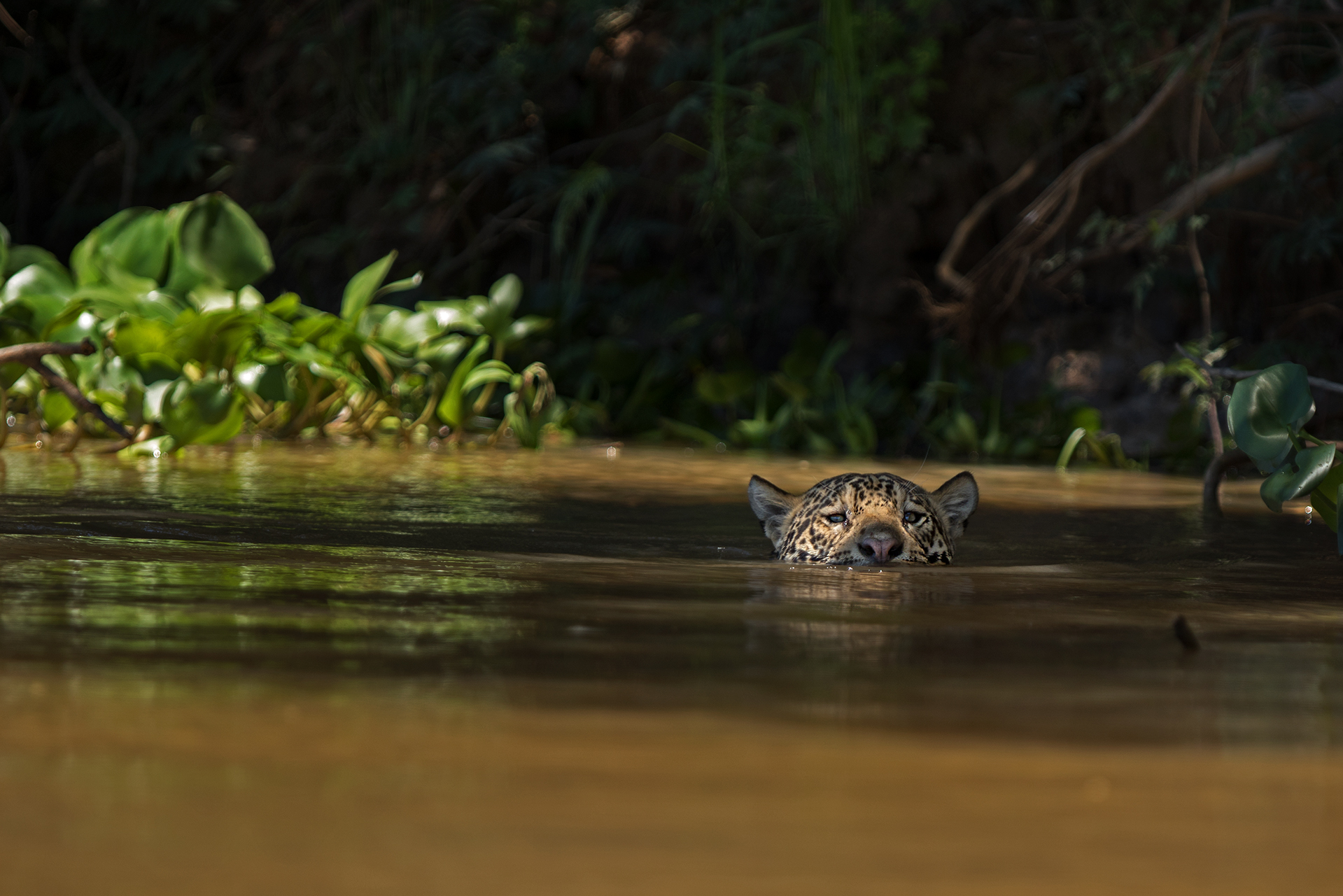 In mezzo scorre il fiume