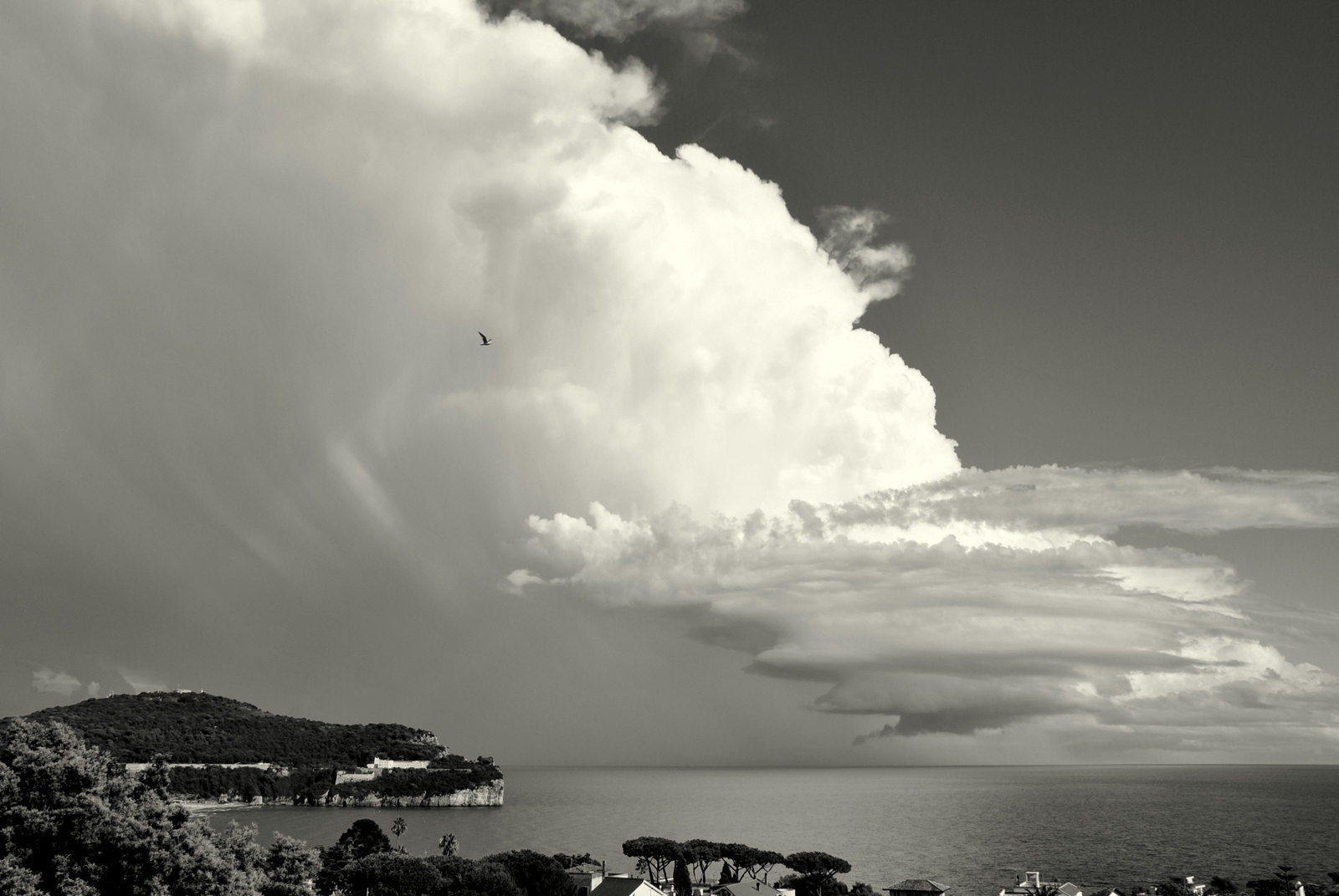 The storm has passed ...