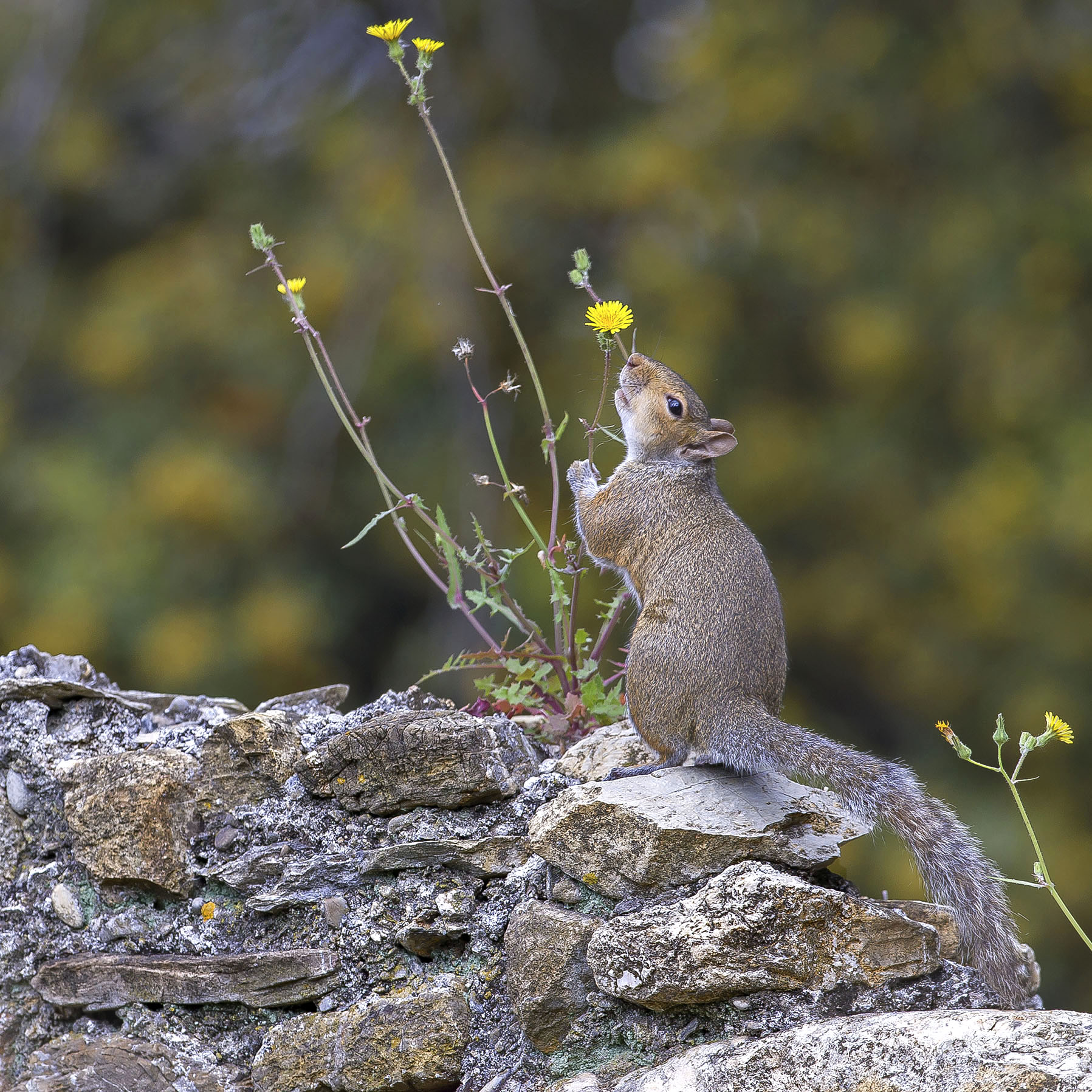 ..but that smells good !!!