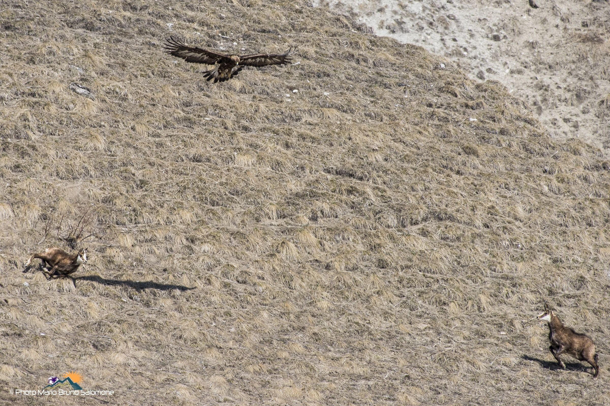 lo scarto della salvezza