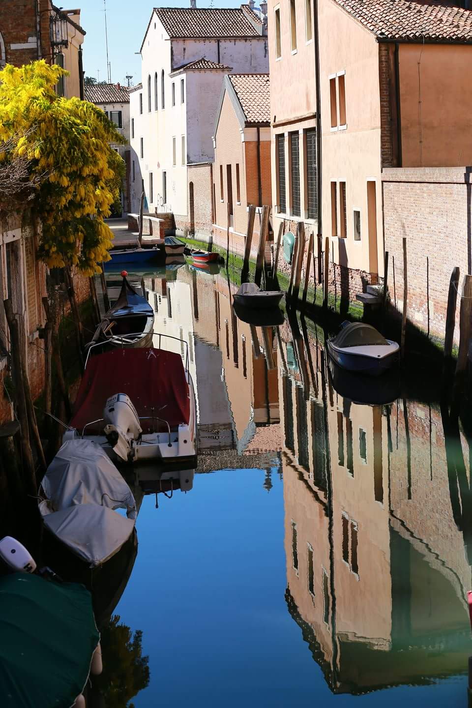 Venice reflection "C"