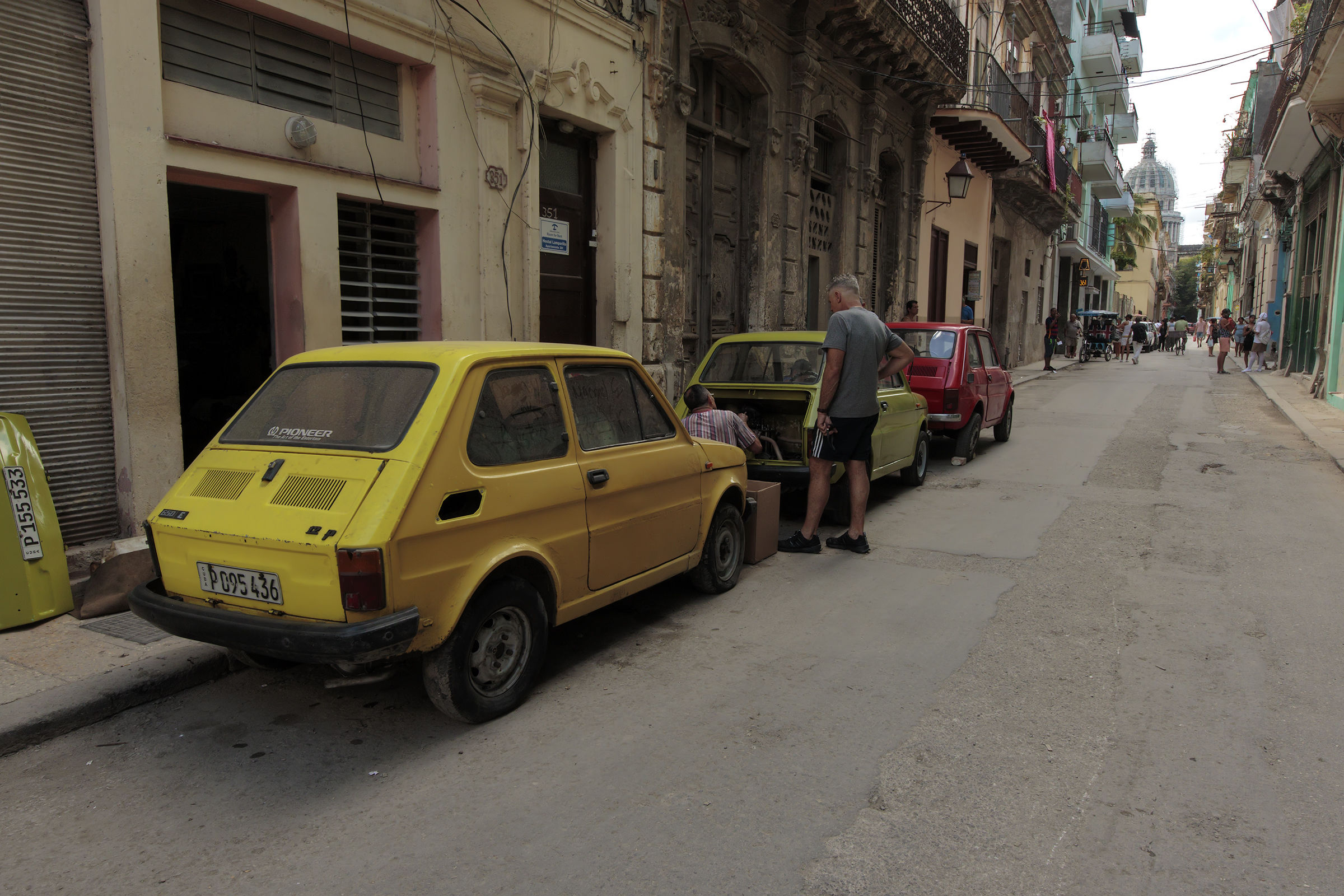 Authorized Workshop fiat