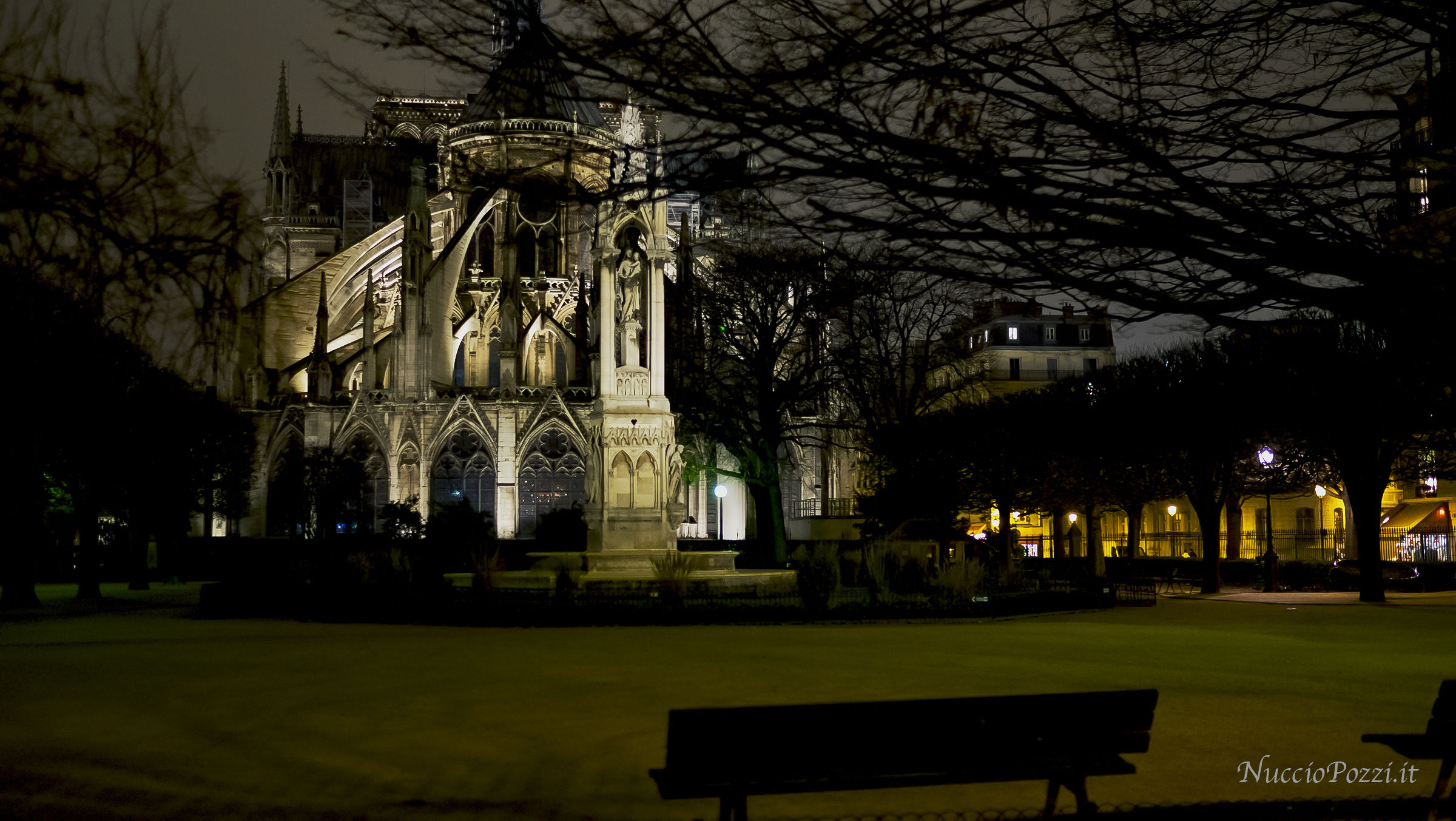 Notre Dame - Night