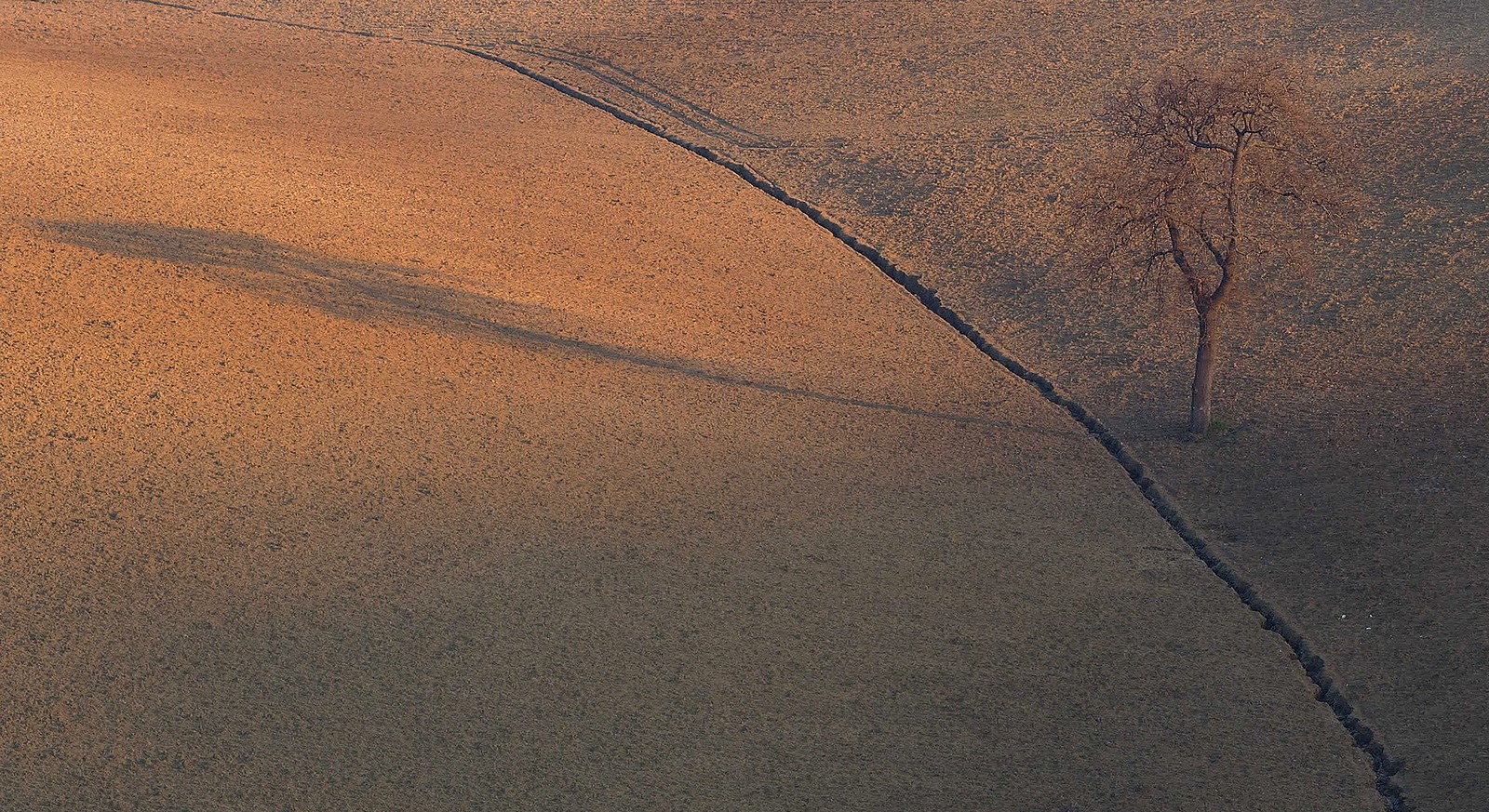 last evening shadows