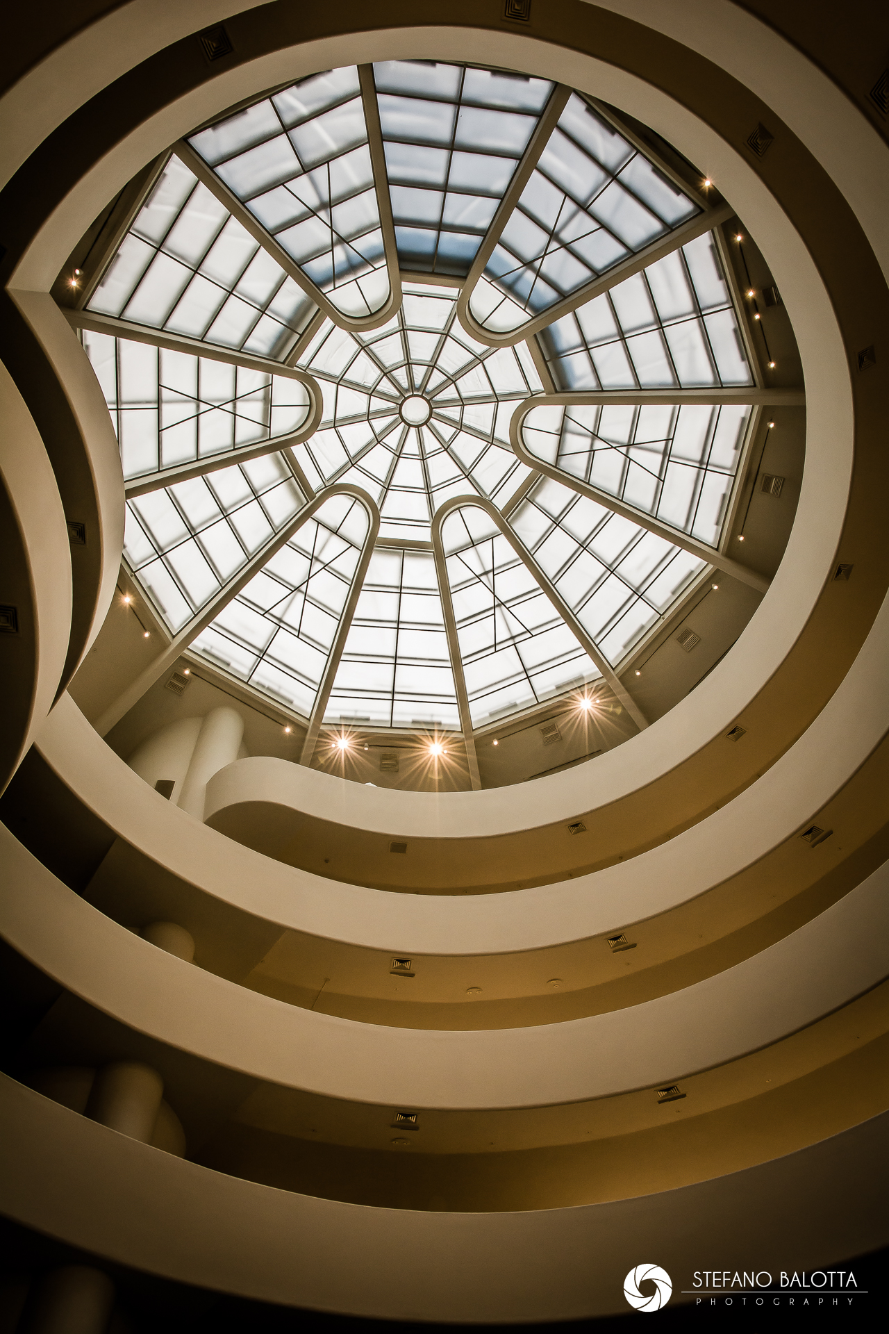 Guggenheim Curves