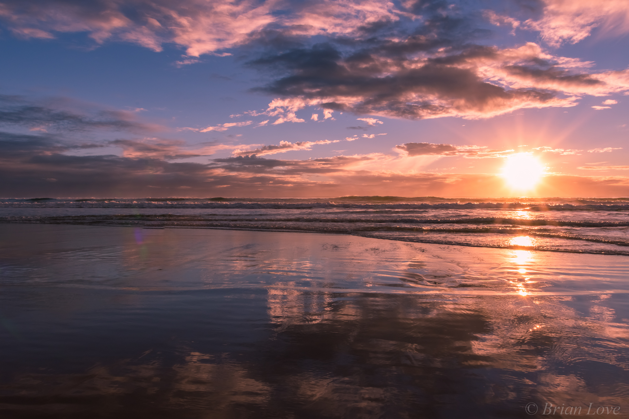 Alba a Surfers Paradise Queensland Australia