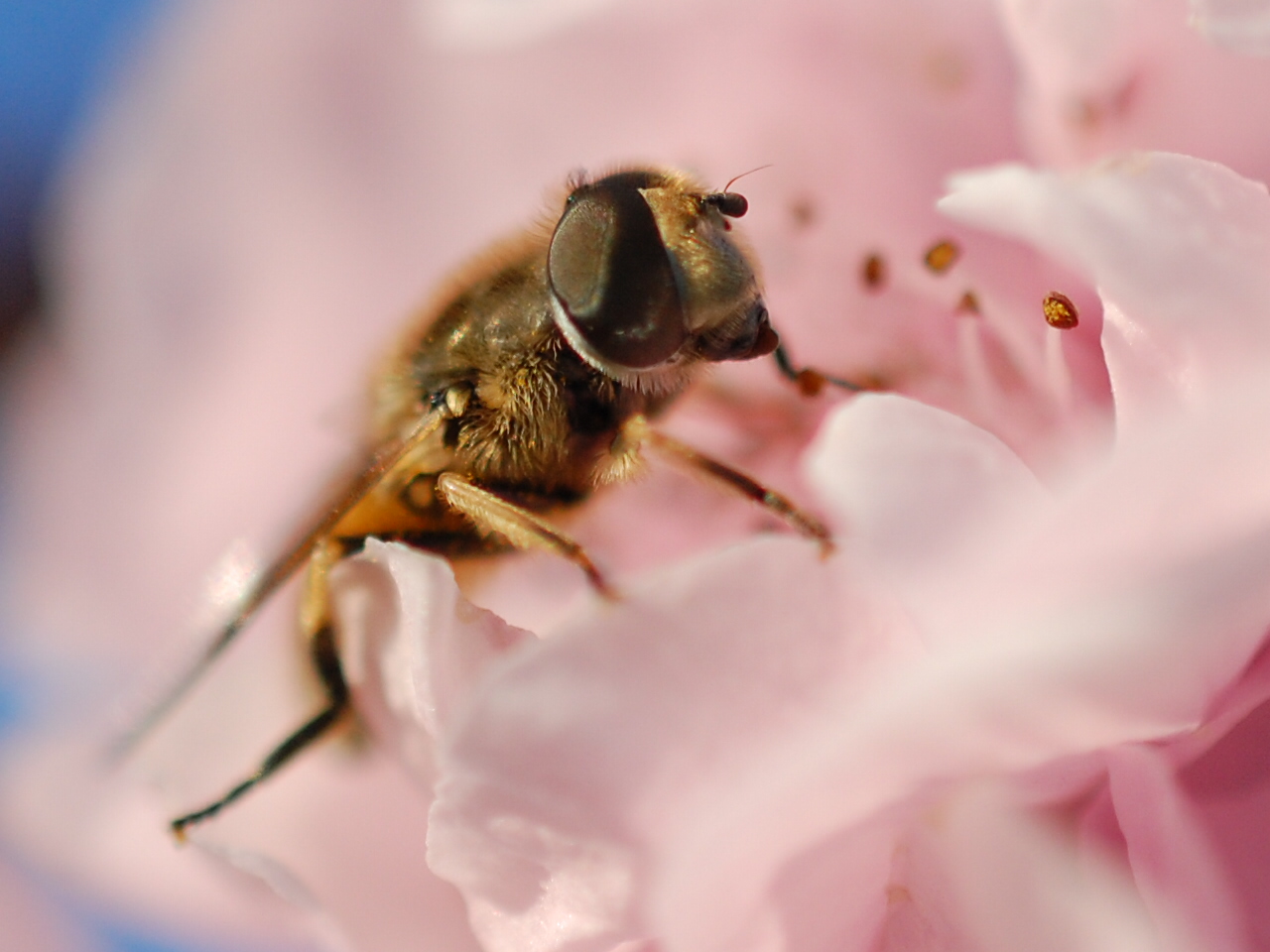 Welcome back spring!!!