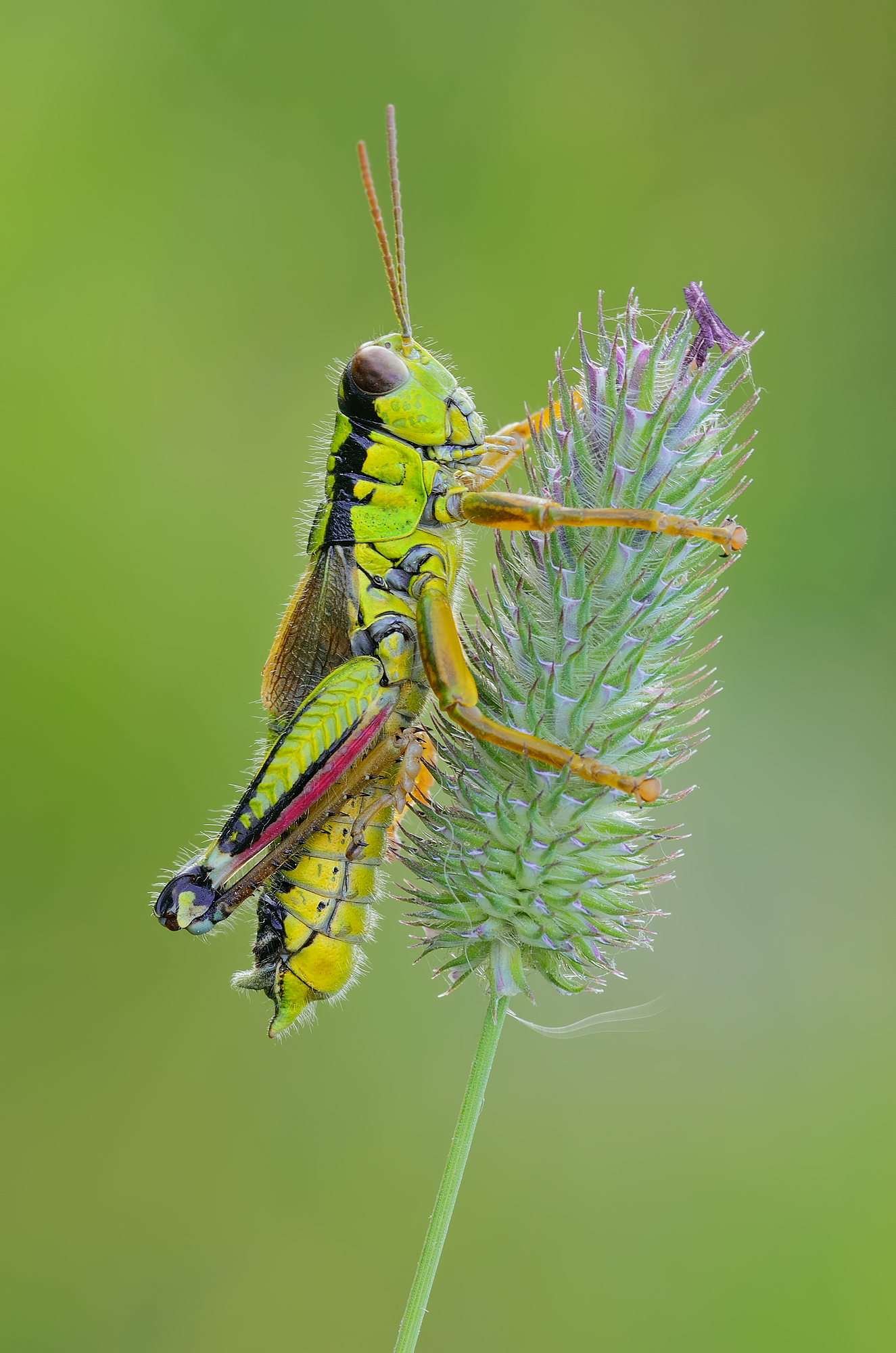 And who leaves you more ...