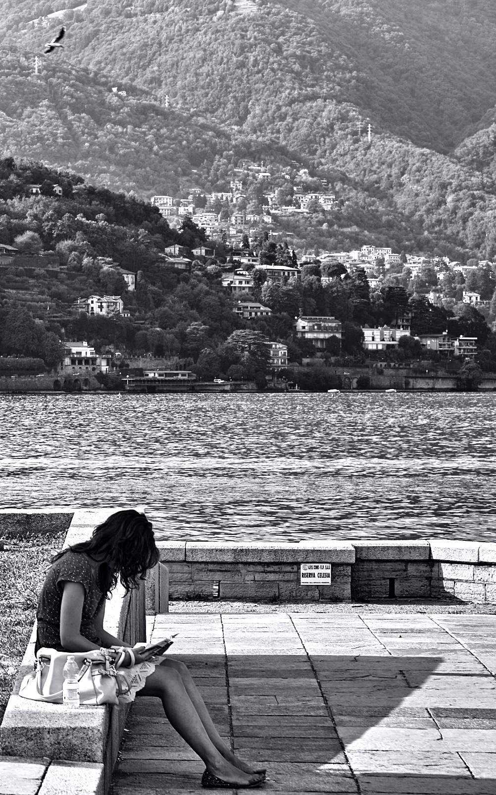 Lettrice in riva al lago