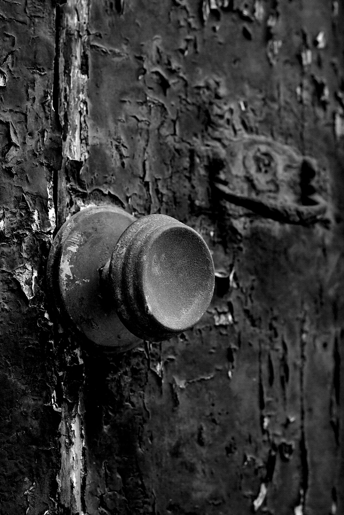 Inevitabili scadenze