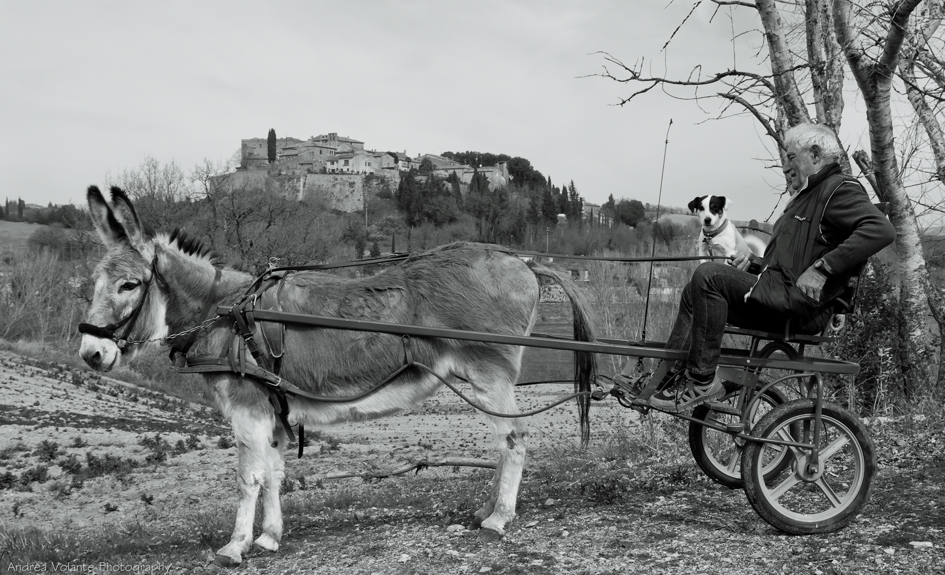 San Giovanni d'Asso ...la gita della domenica.