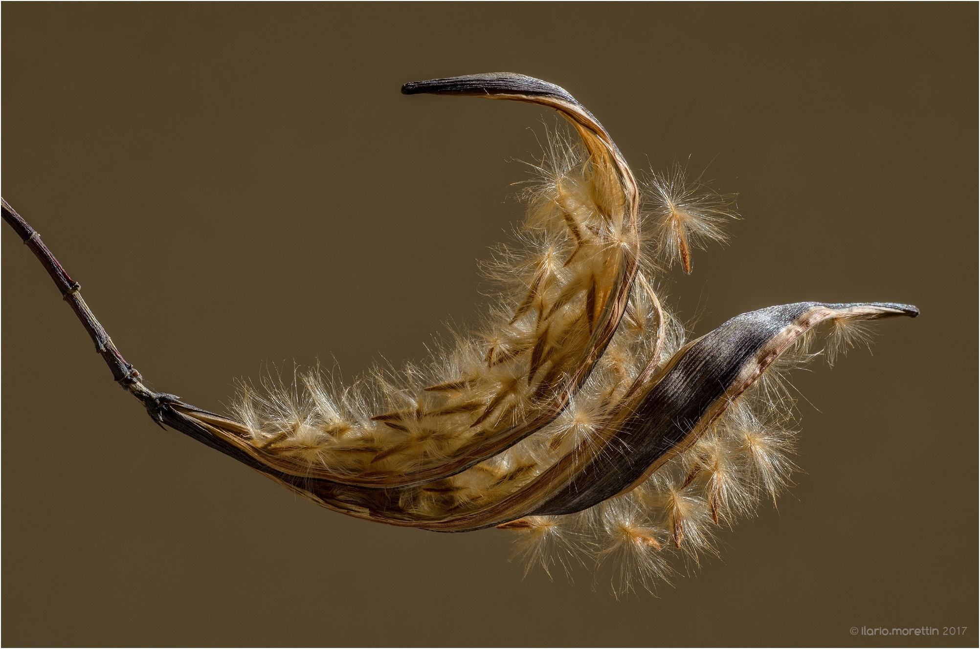 Pronti per la libera uscita