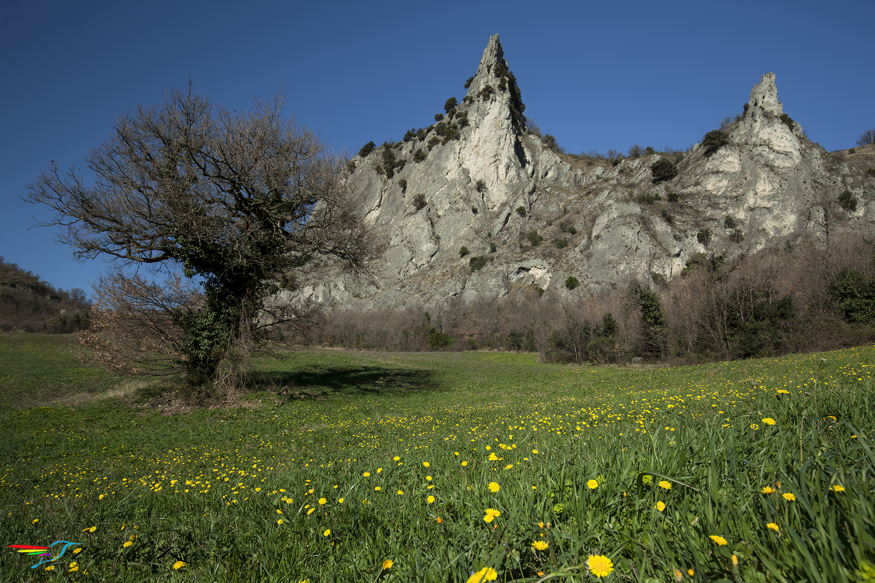 Spring Awakening ...