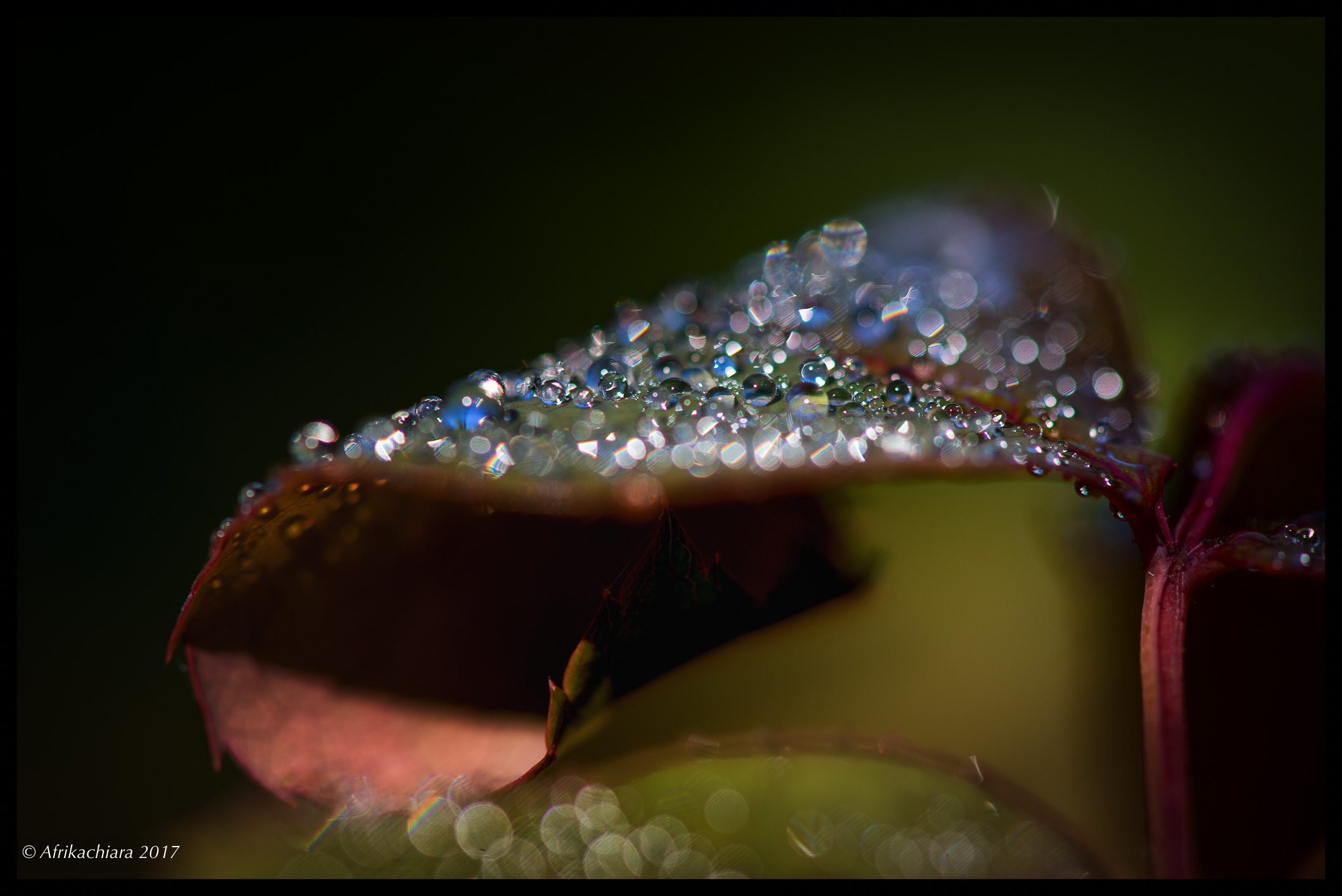 Drops of light