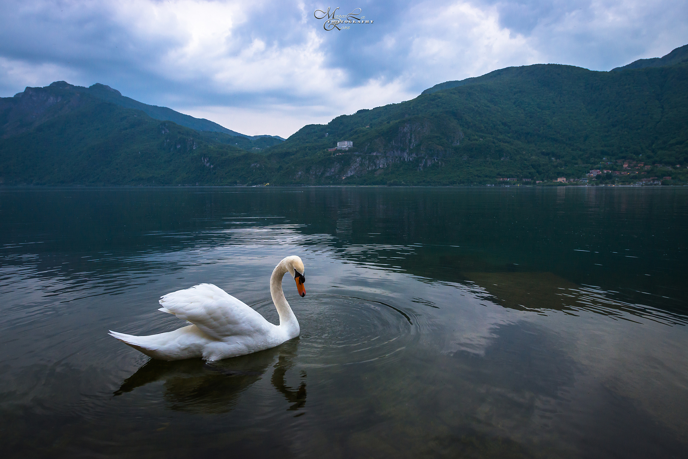 Specchio specchio delle mie brame....