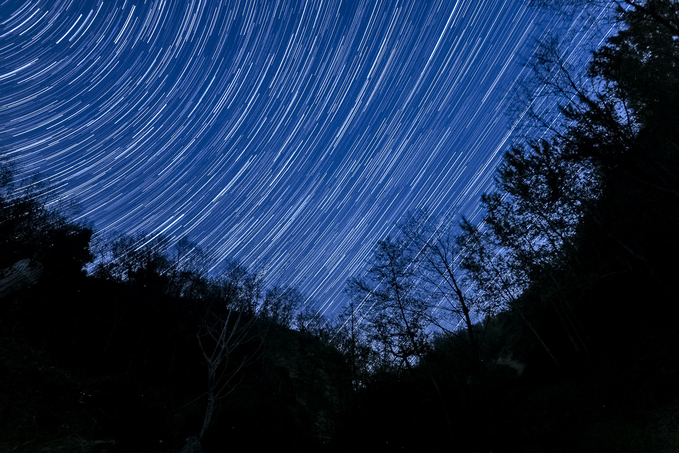 A night under the stars