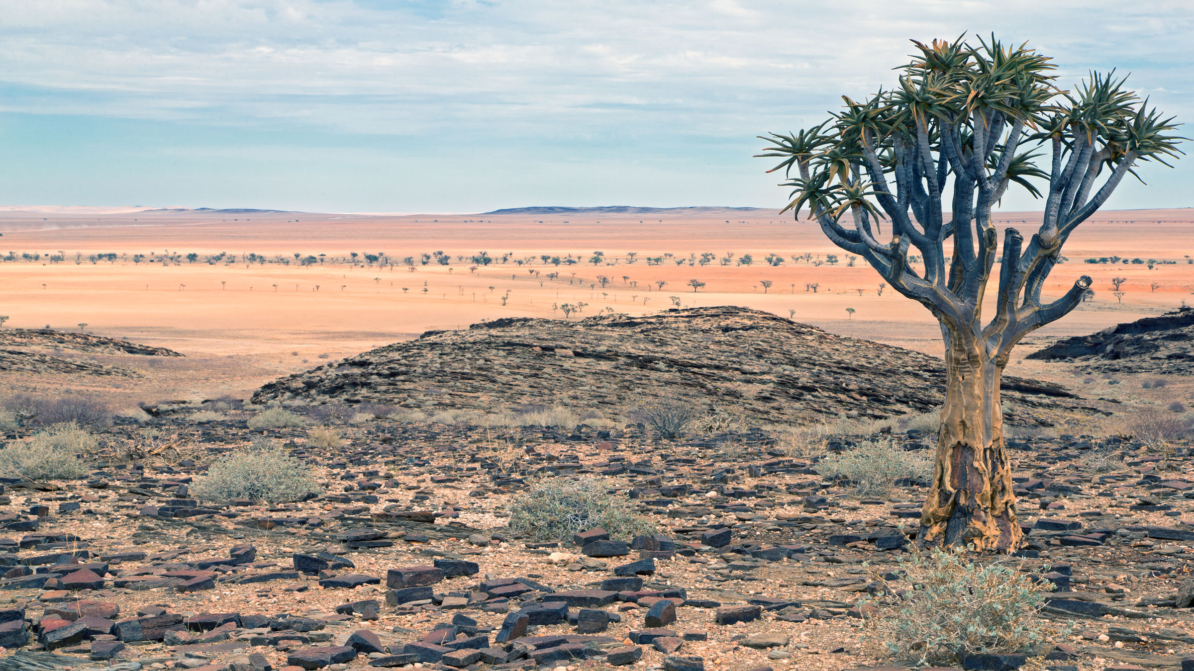 Namib-Nauflukt national park