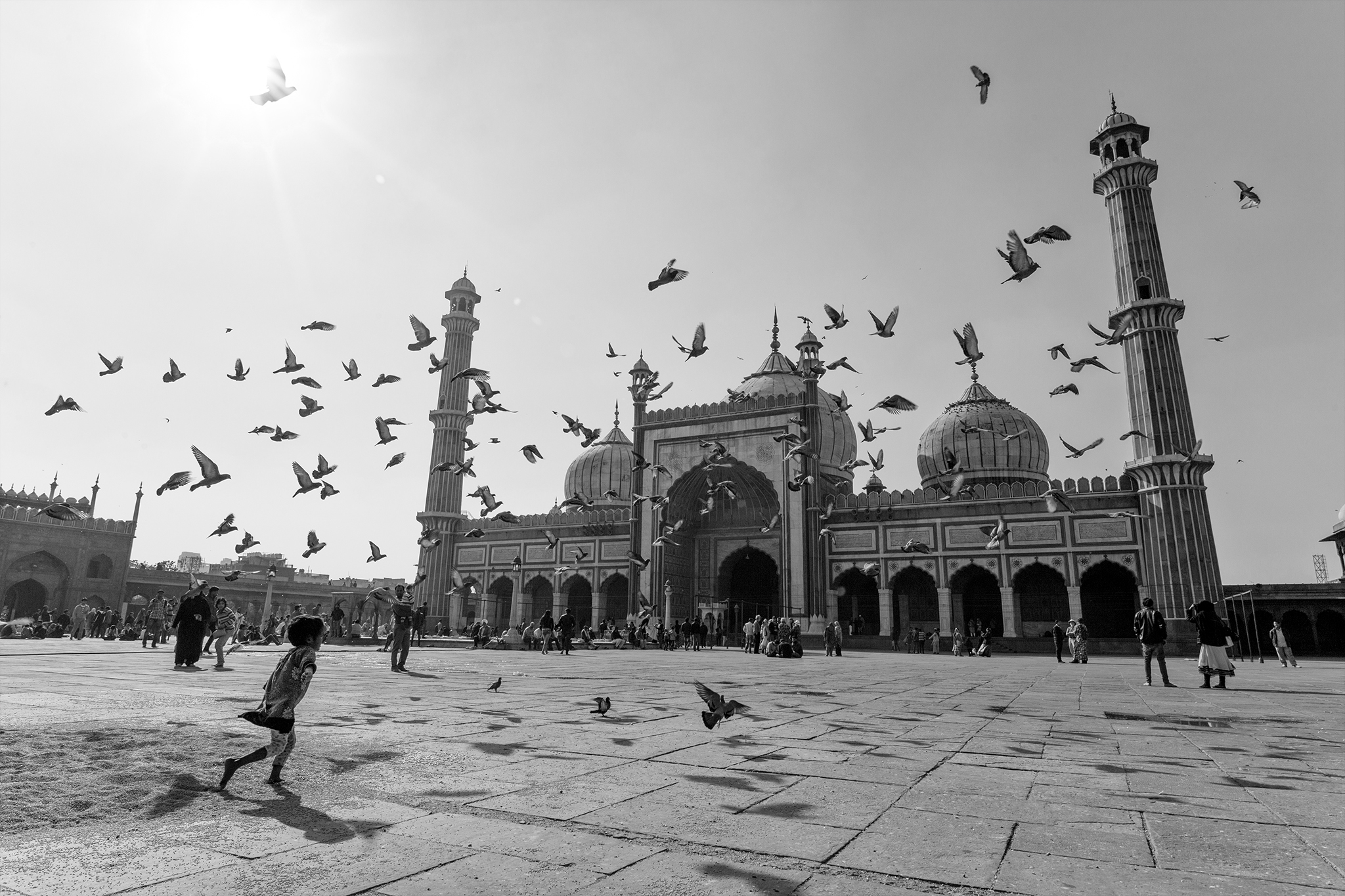 Jama Majid .. bimbi e piccioni