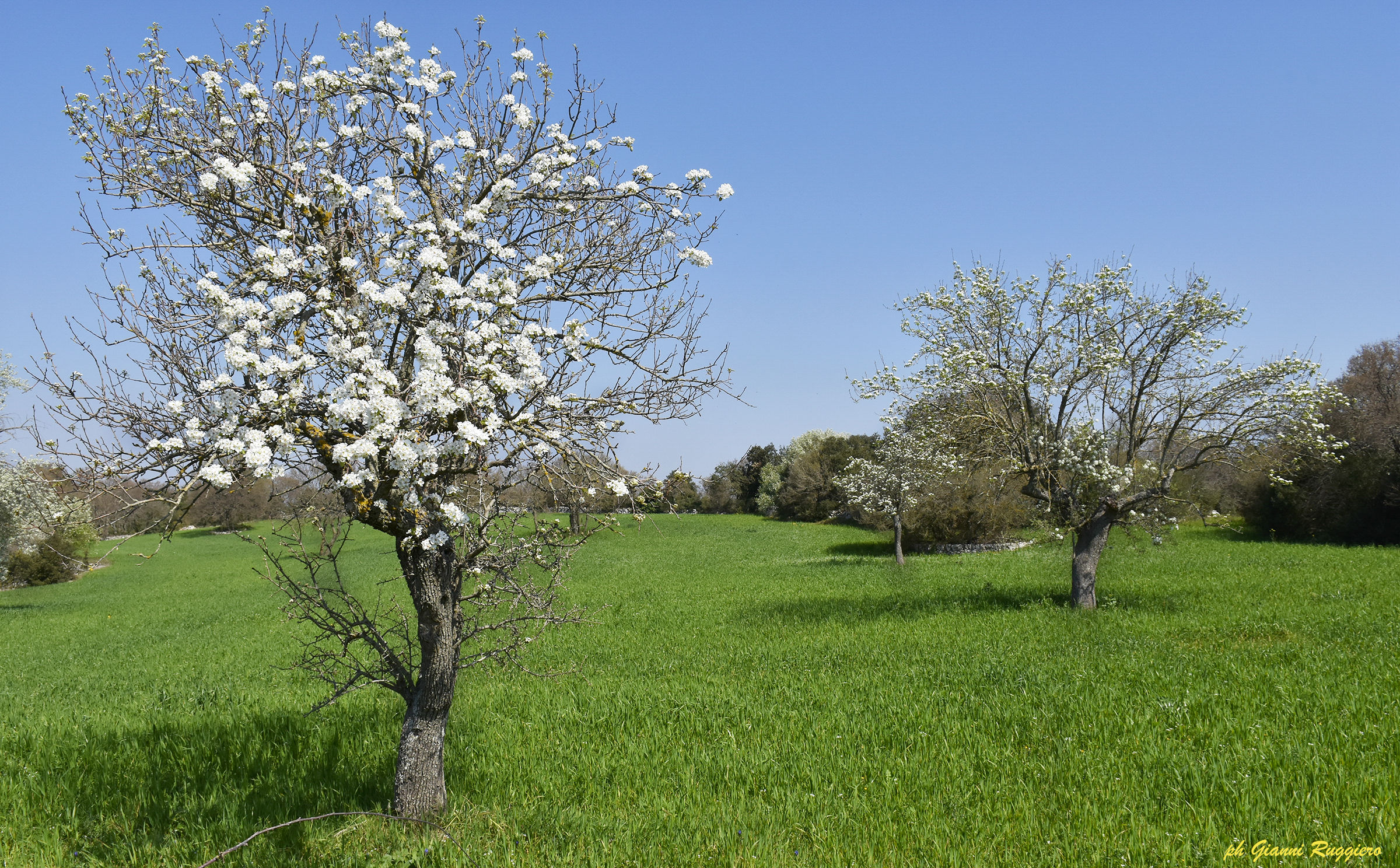 Colors of Apulia 2