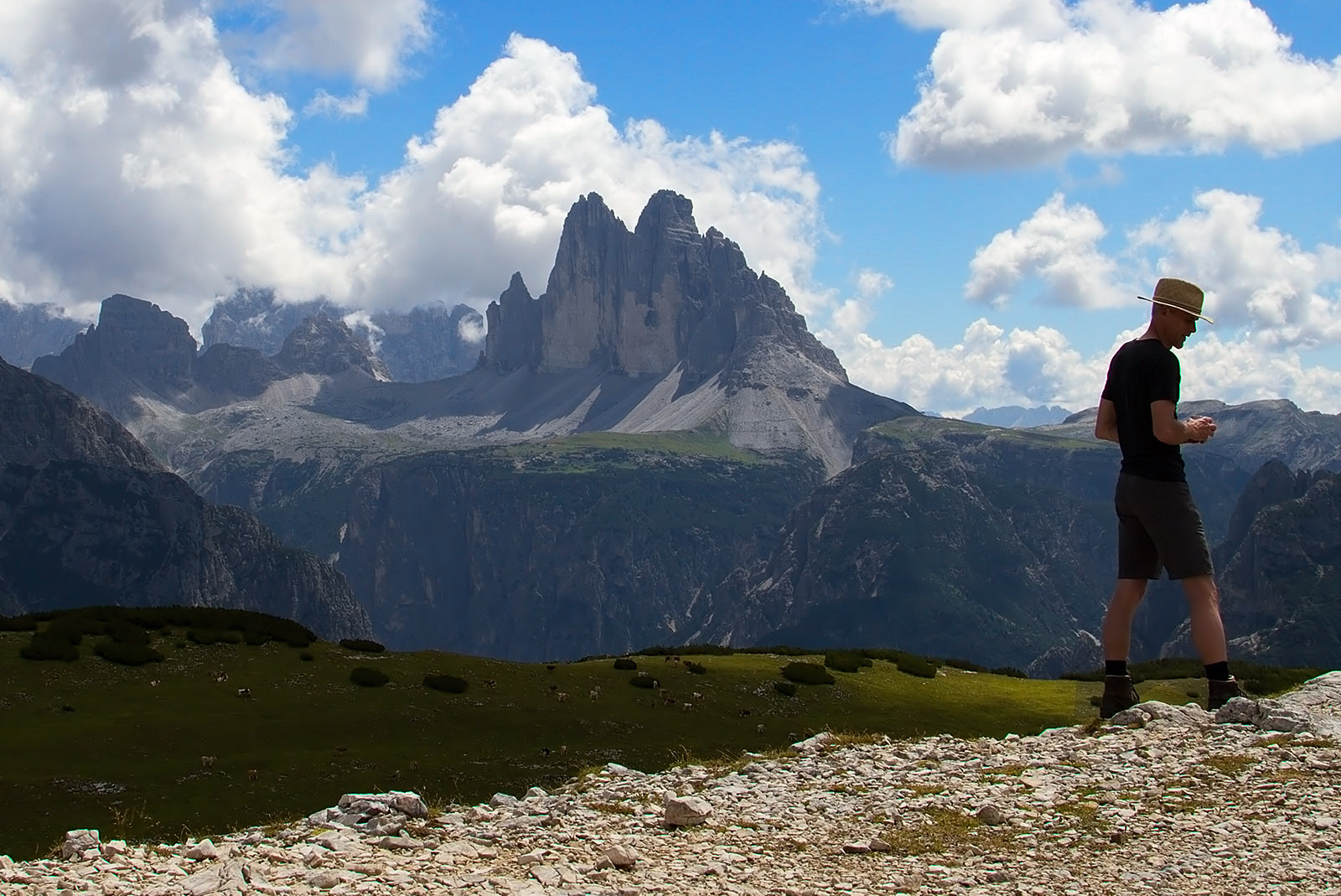 the three peaks of the mountain species