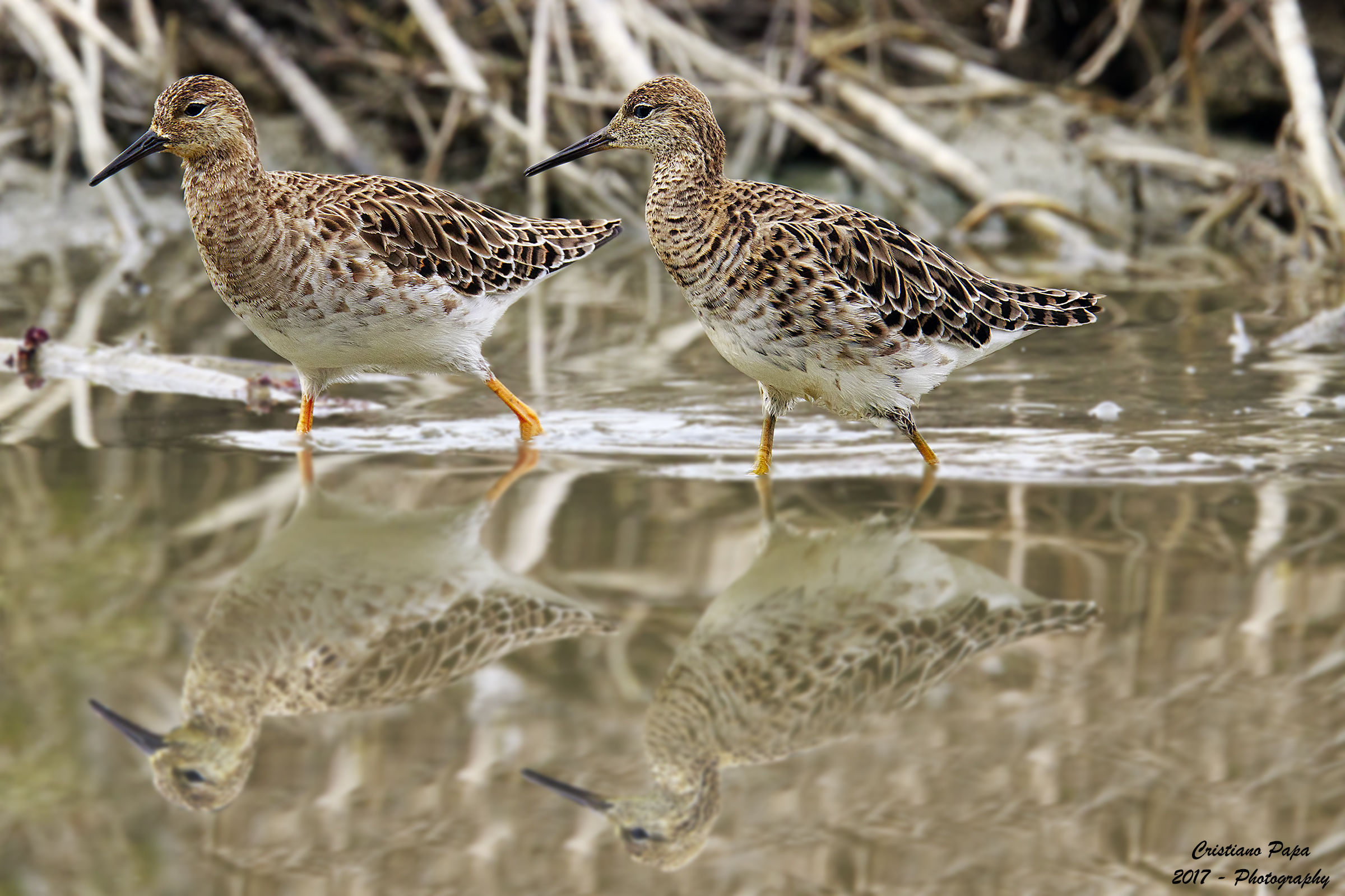 Two fighters walking ...