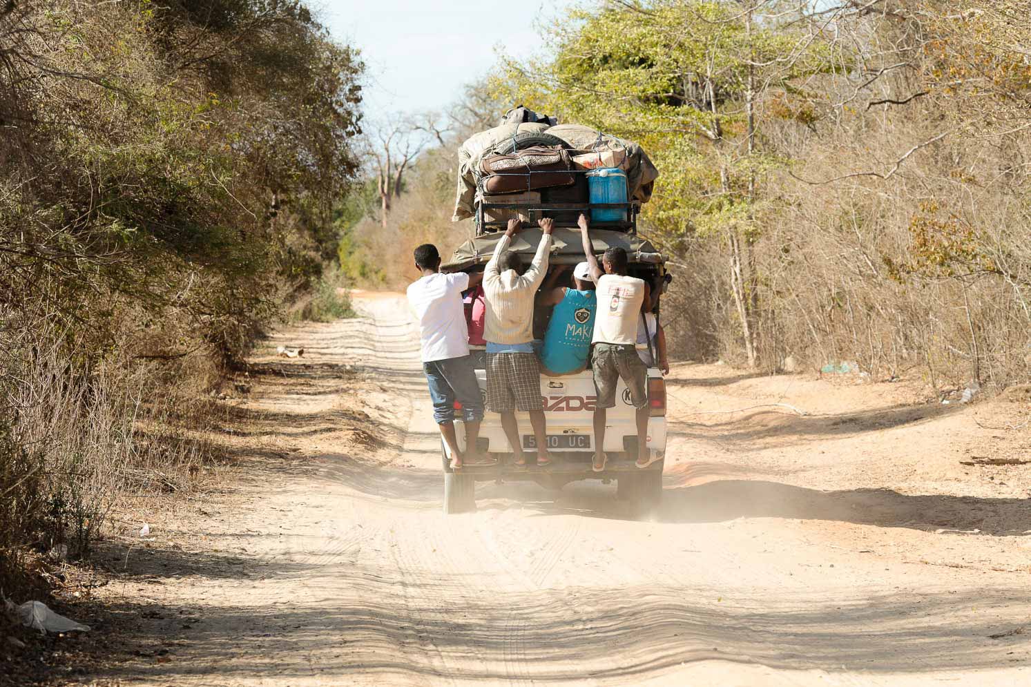long journey - Avenue du Baobab