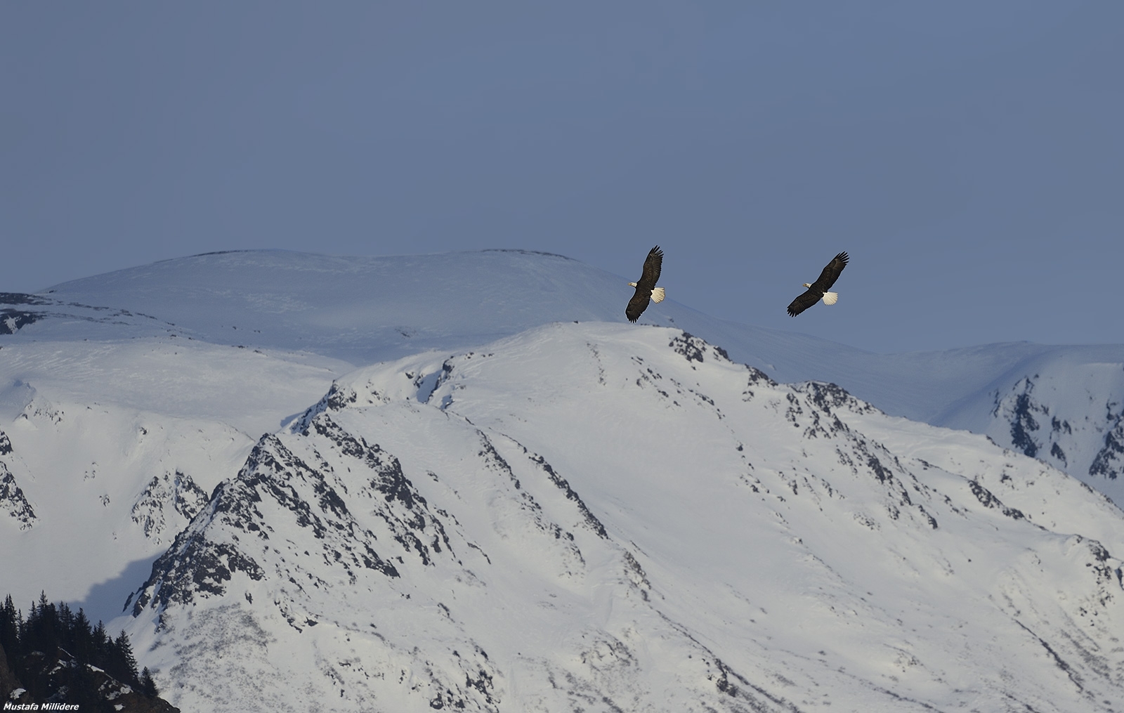La casa, Snowy Mountains