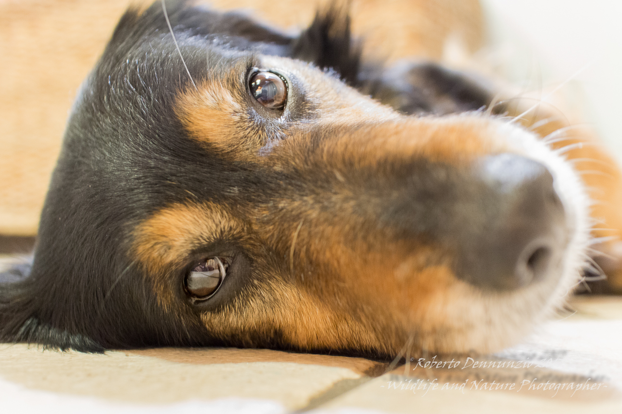 Giocando con la EOS M