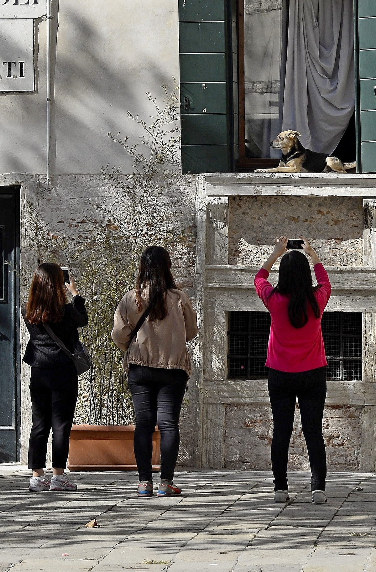 I sti paparassi no longer stand them!