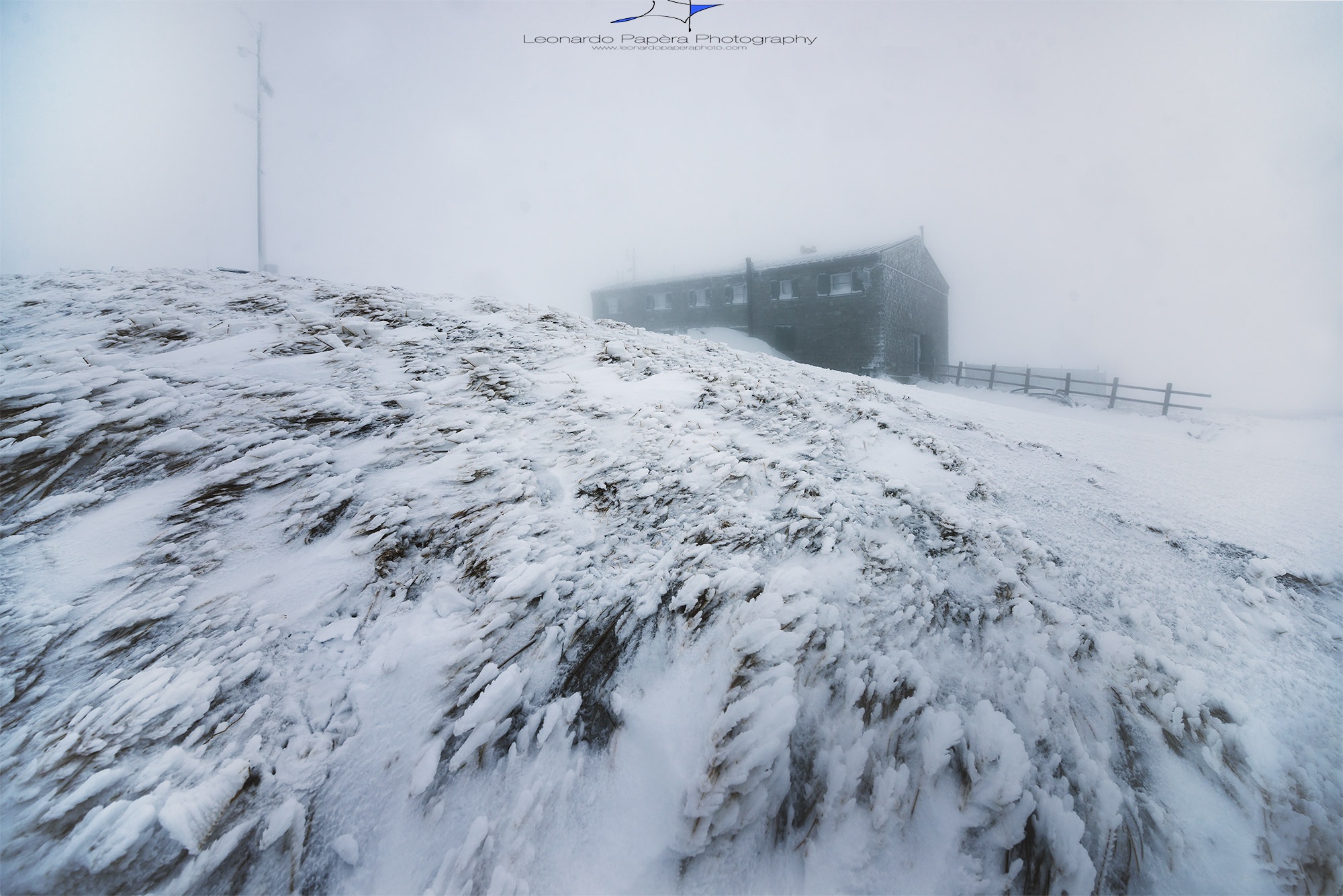 The vice of the Cold