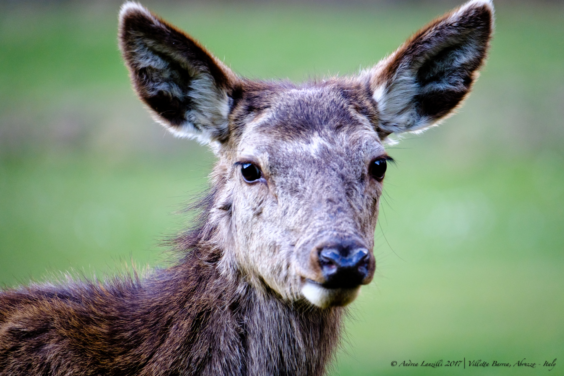 La delicatezza di uno sguardo