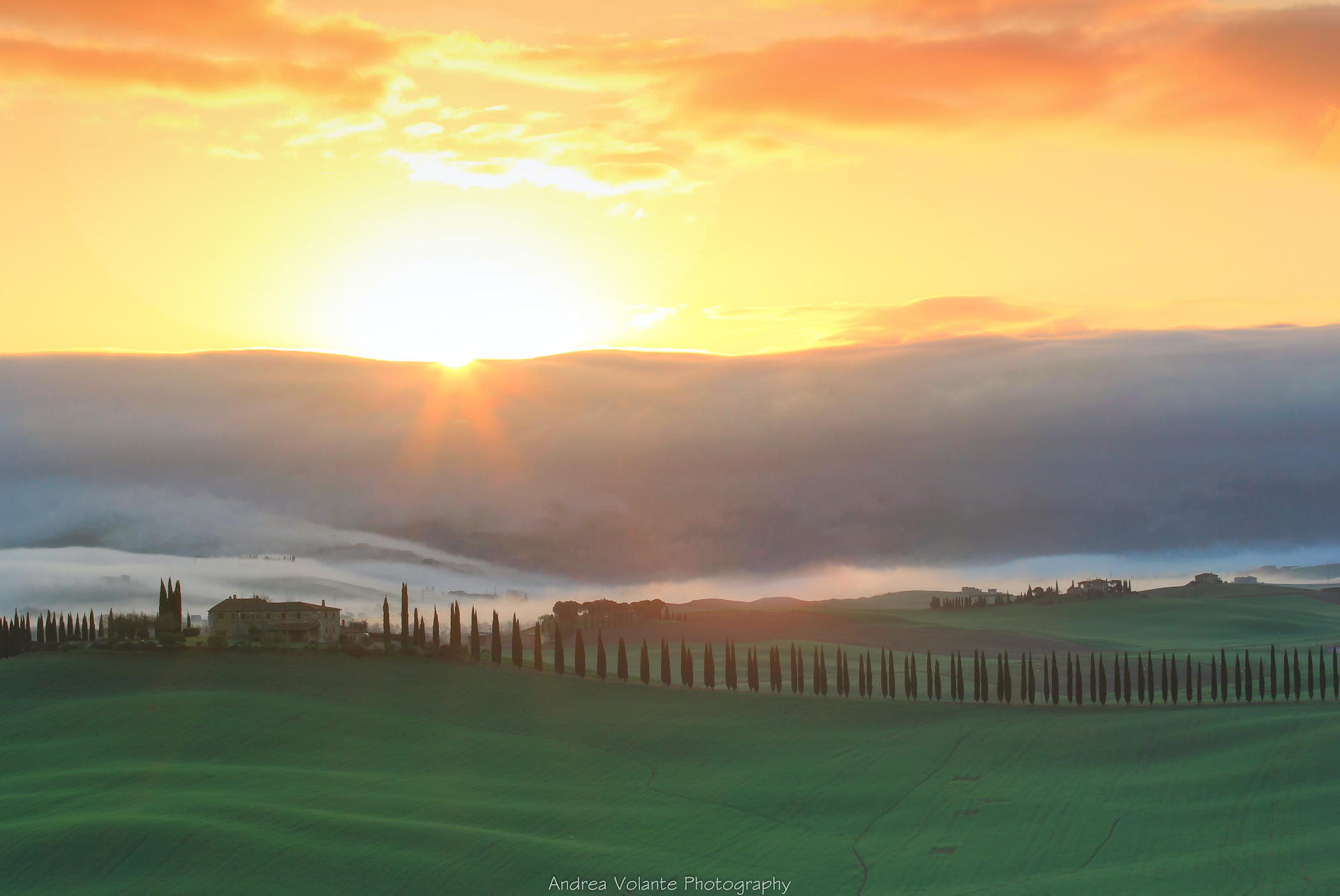 Poggio Covili ...giochi di brume all'alba.