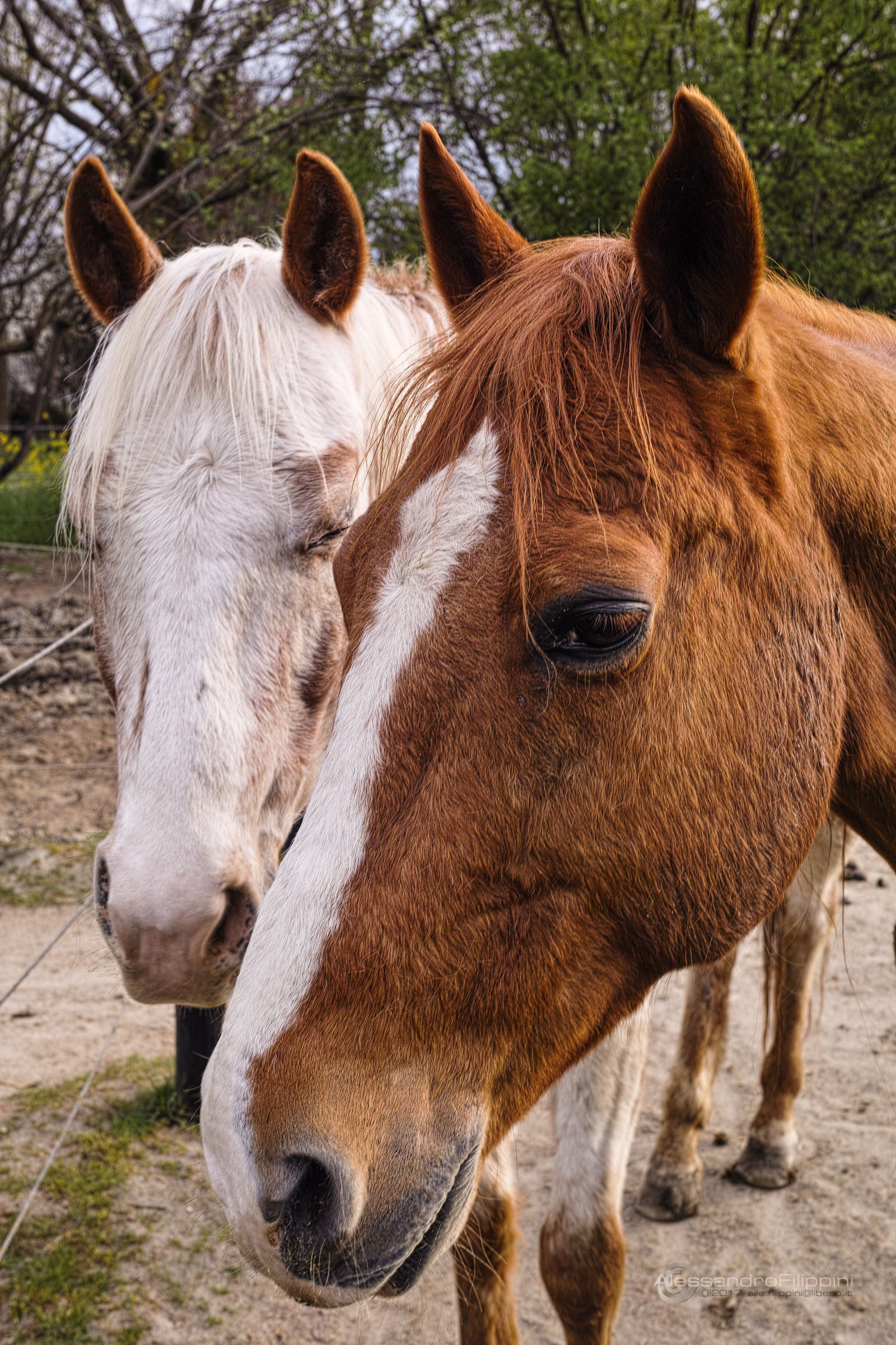 you make me a caress?