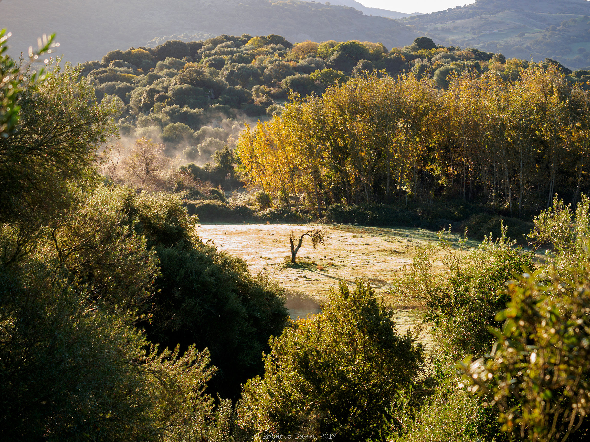 Fog in Mandra Antine
