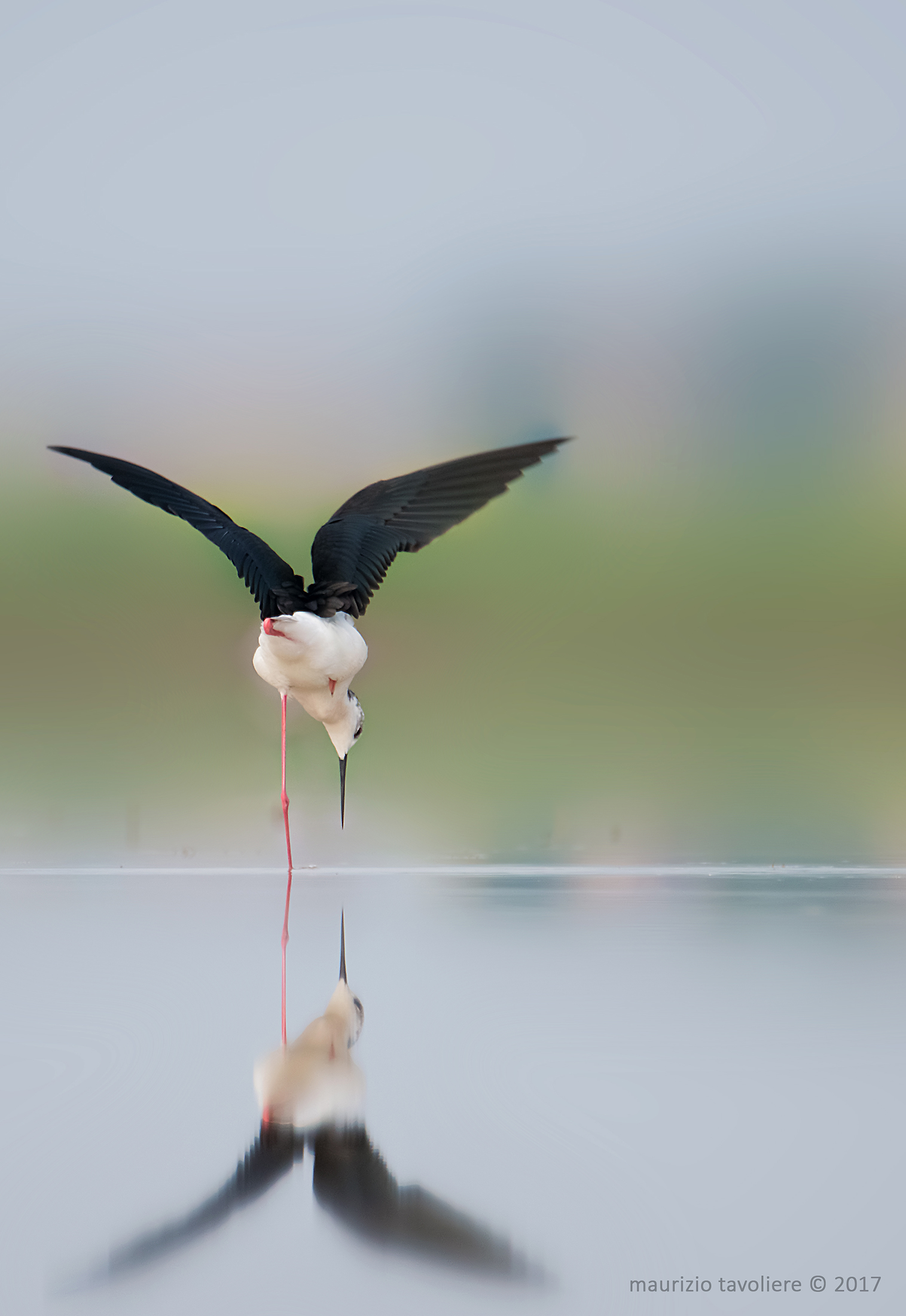 Questione di equilibrio ..