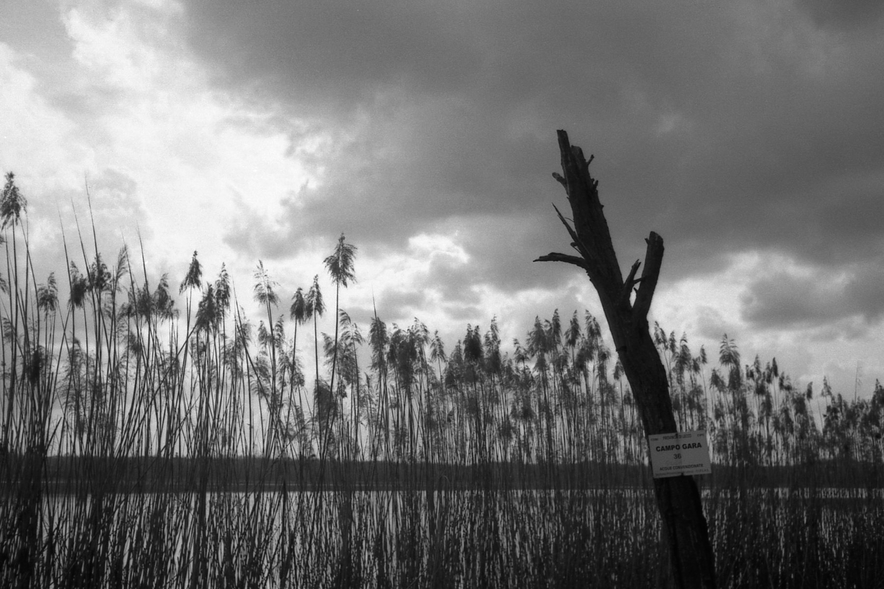 Lago di Oggiono in analogico