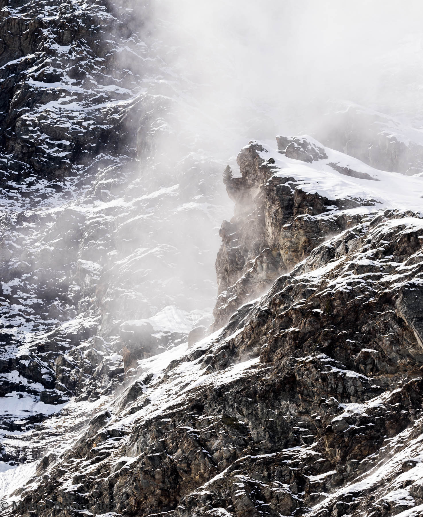 rock and lonely tree surrounded by fog ...
